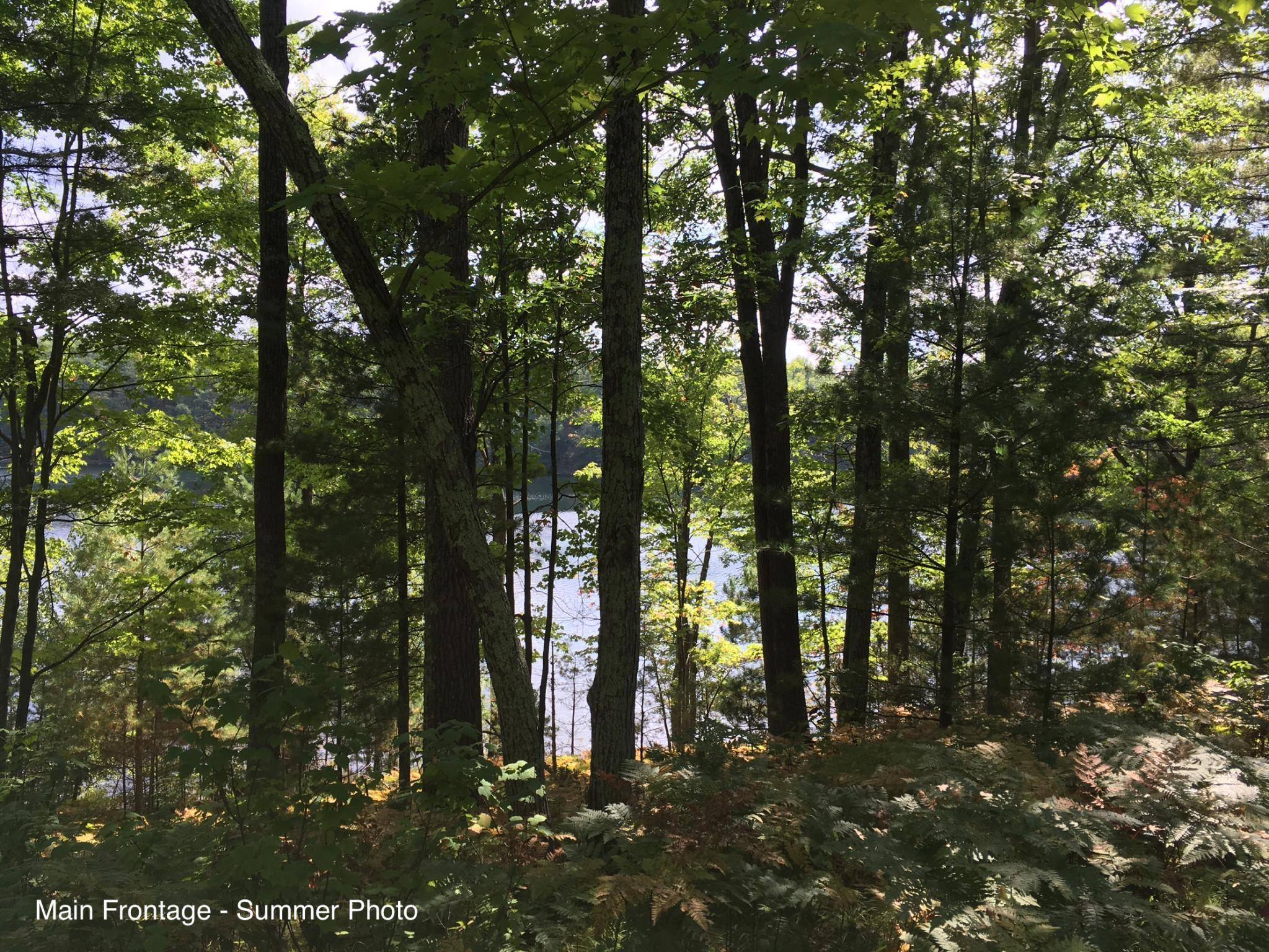 Hayward, WI 54843,Lot 5 Oriole LN