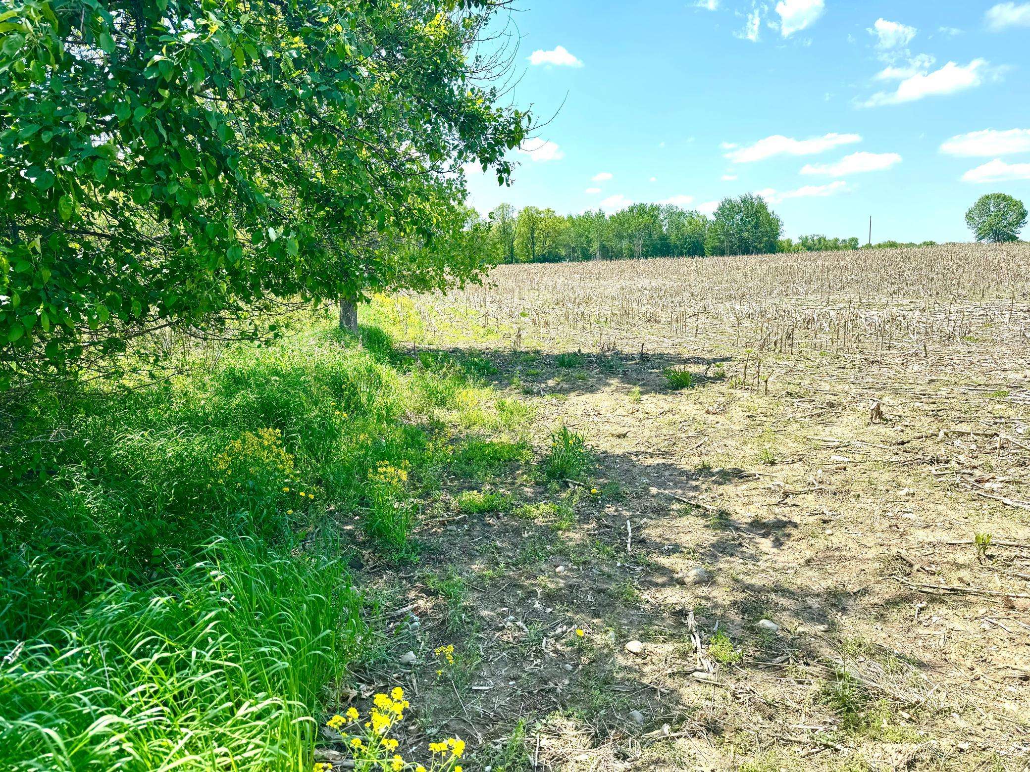 Princeton, MN 55371,TBD-20+/- Acres 90TH Ave