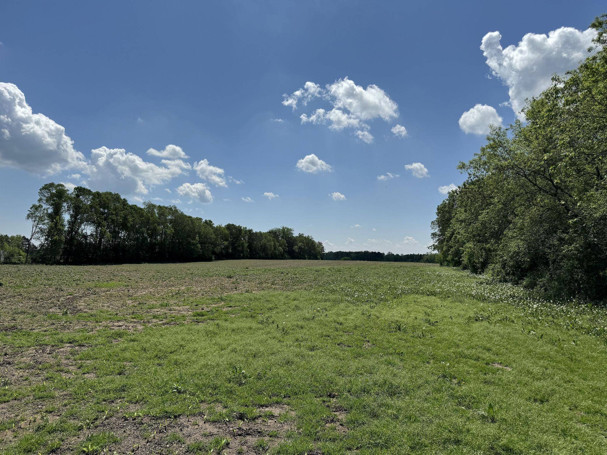 West Sweden Twp, WI 54837,0 310th AVE