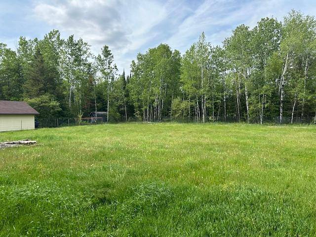 Hibbing, MN 55746,2423 E 41st ST
