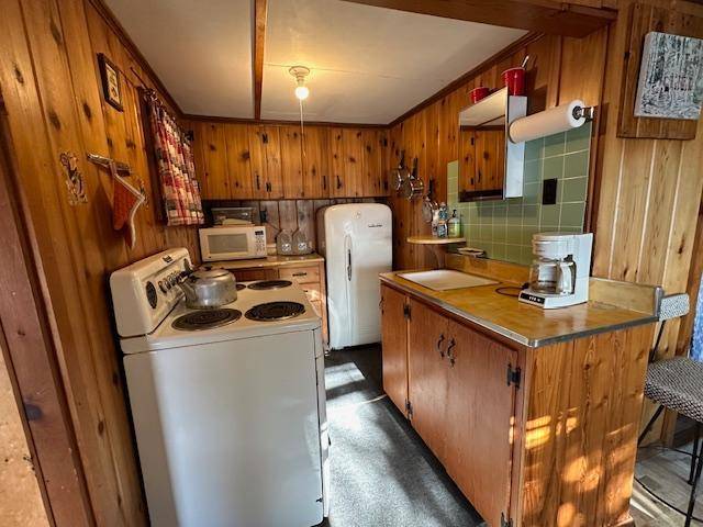 Babbitt, MN 55706,9030 Bear Island Cabin DR