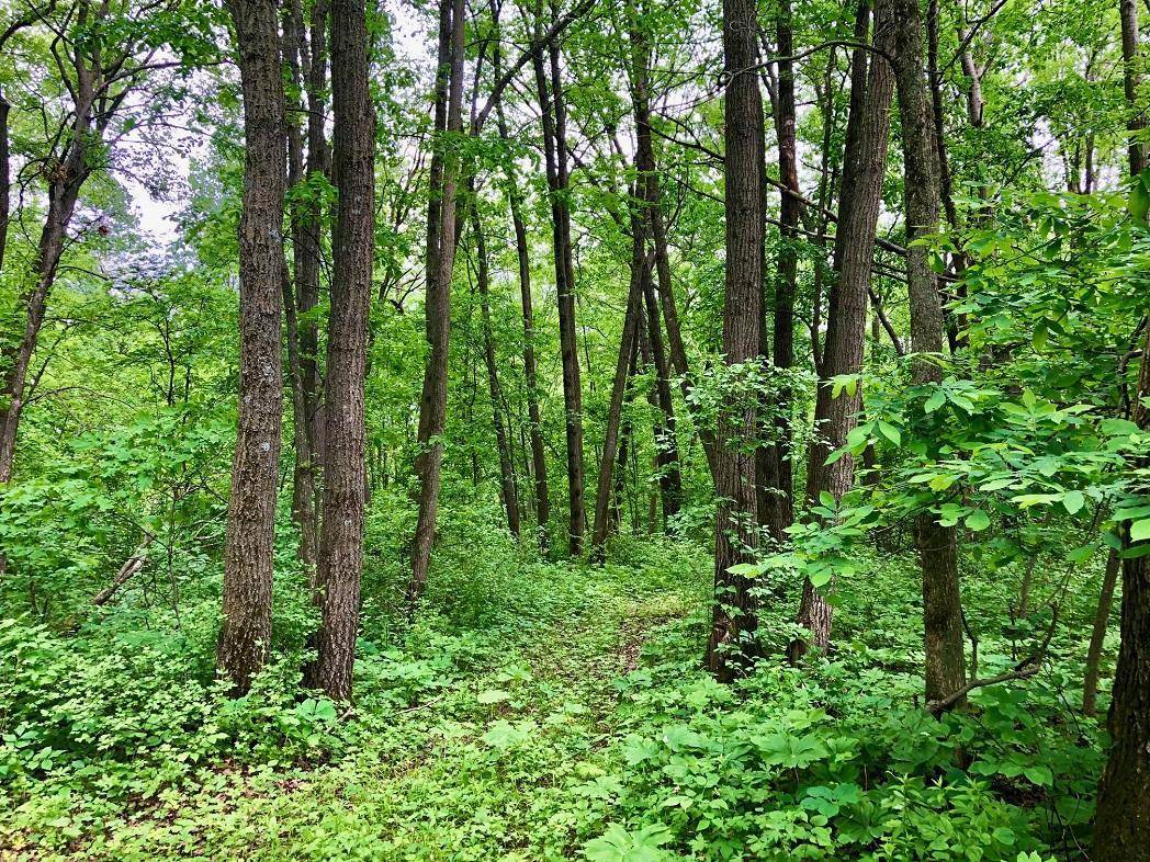 Amherst Twp, MN 55939,XX40 351st AVE