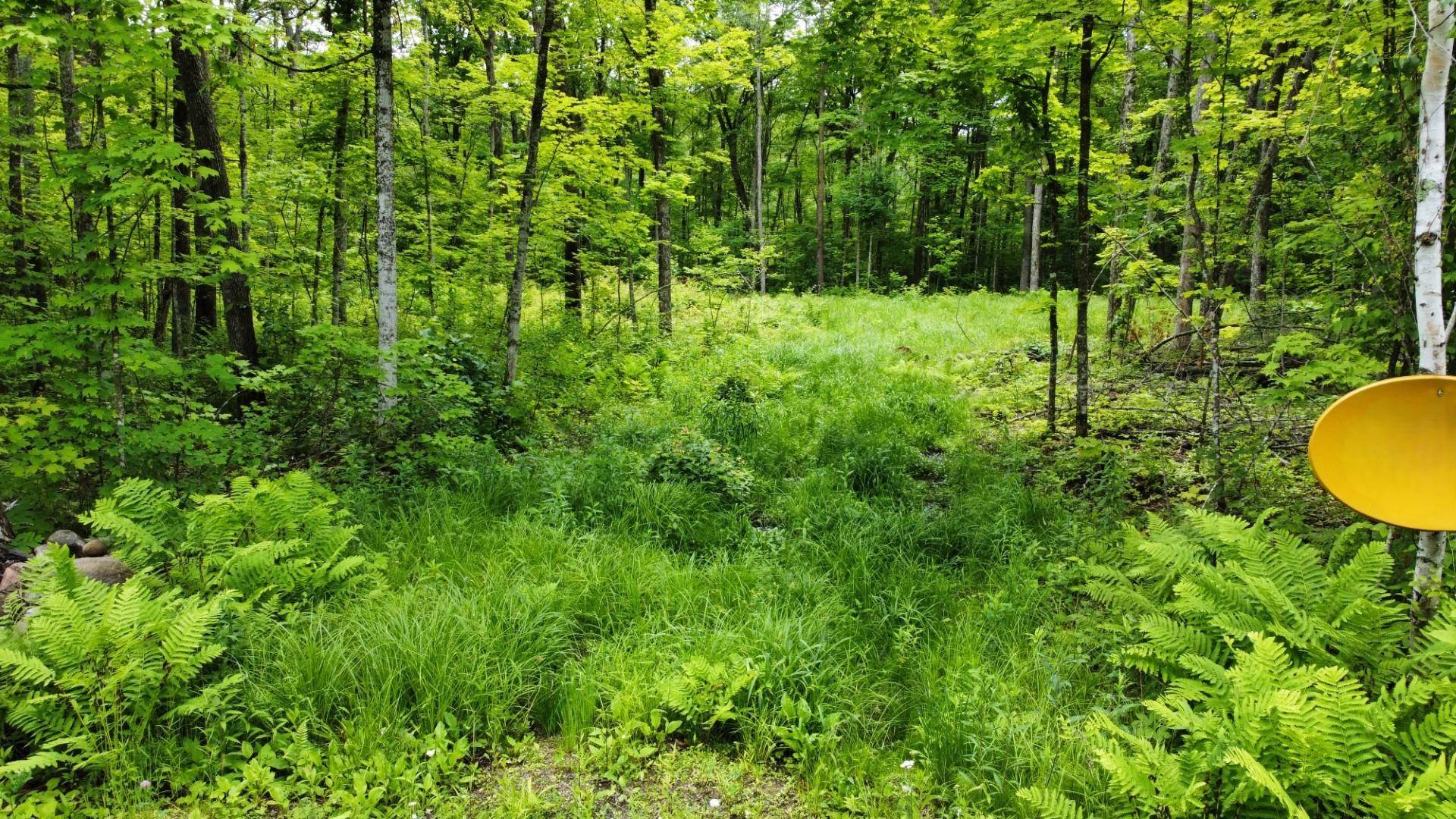 Isle, MN 56342,Xxx 348th AVE