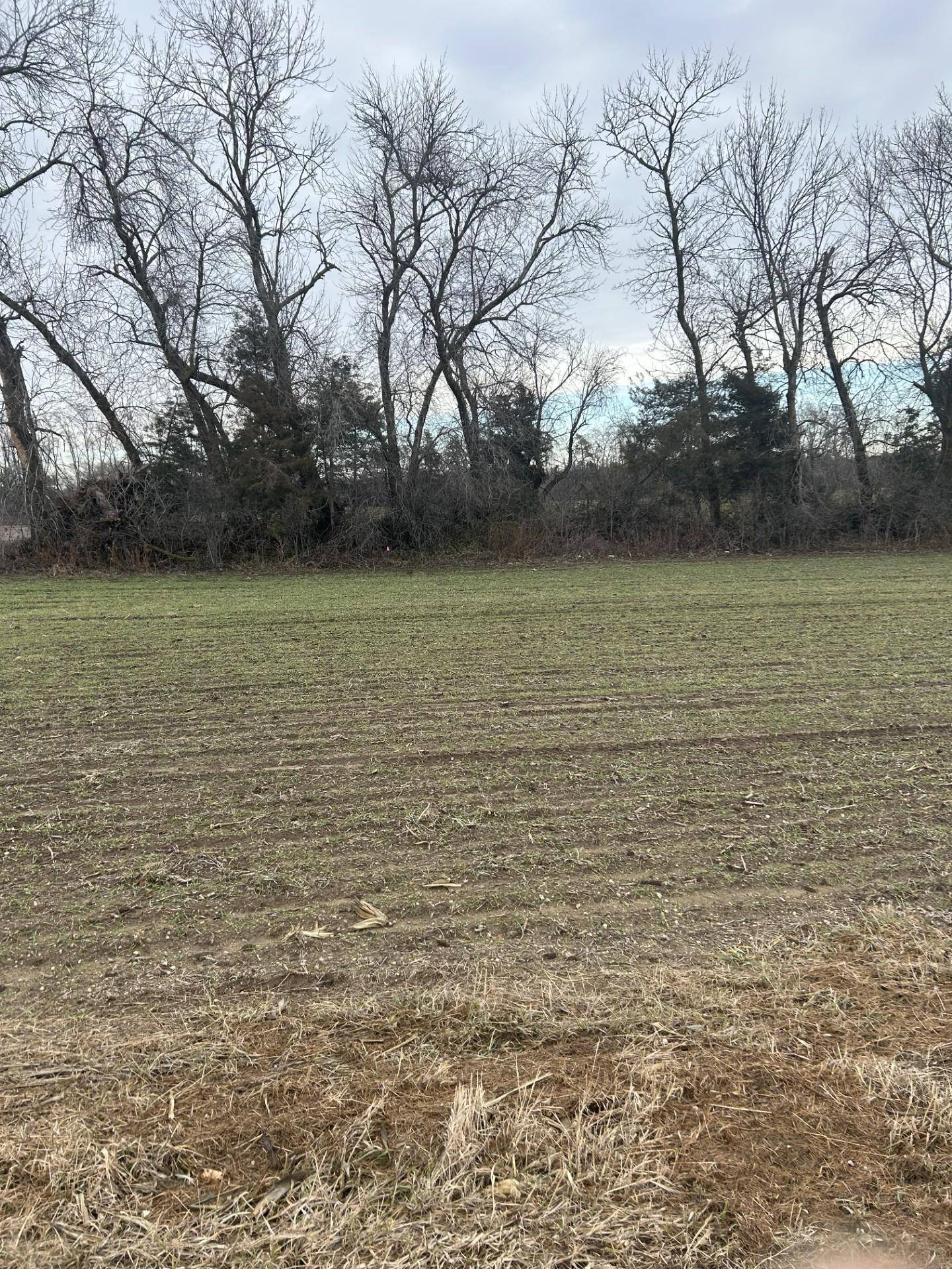 Ravenna Twp, MN 55033,Lot 1 Orlando AVE