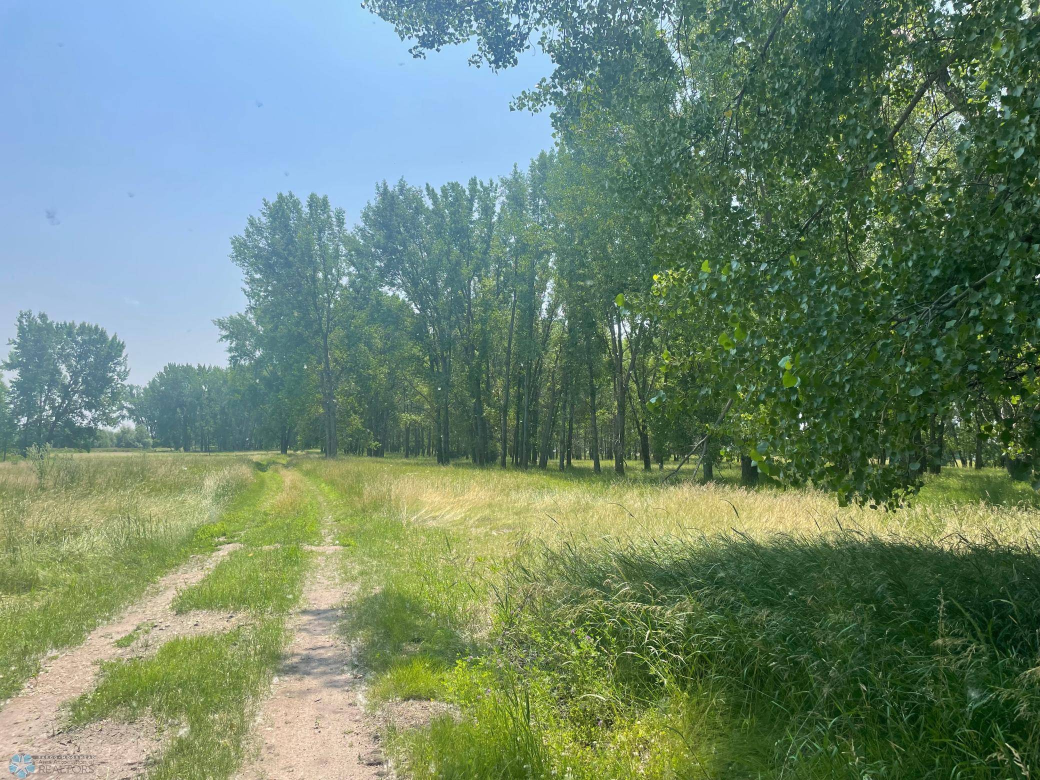 Barnesville, MN 56514,15353 100th AVE S
