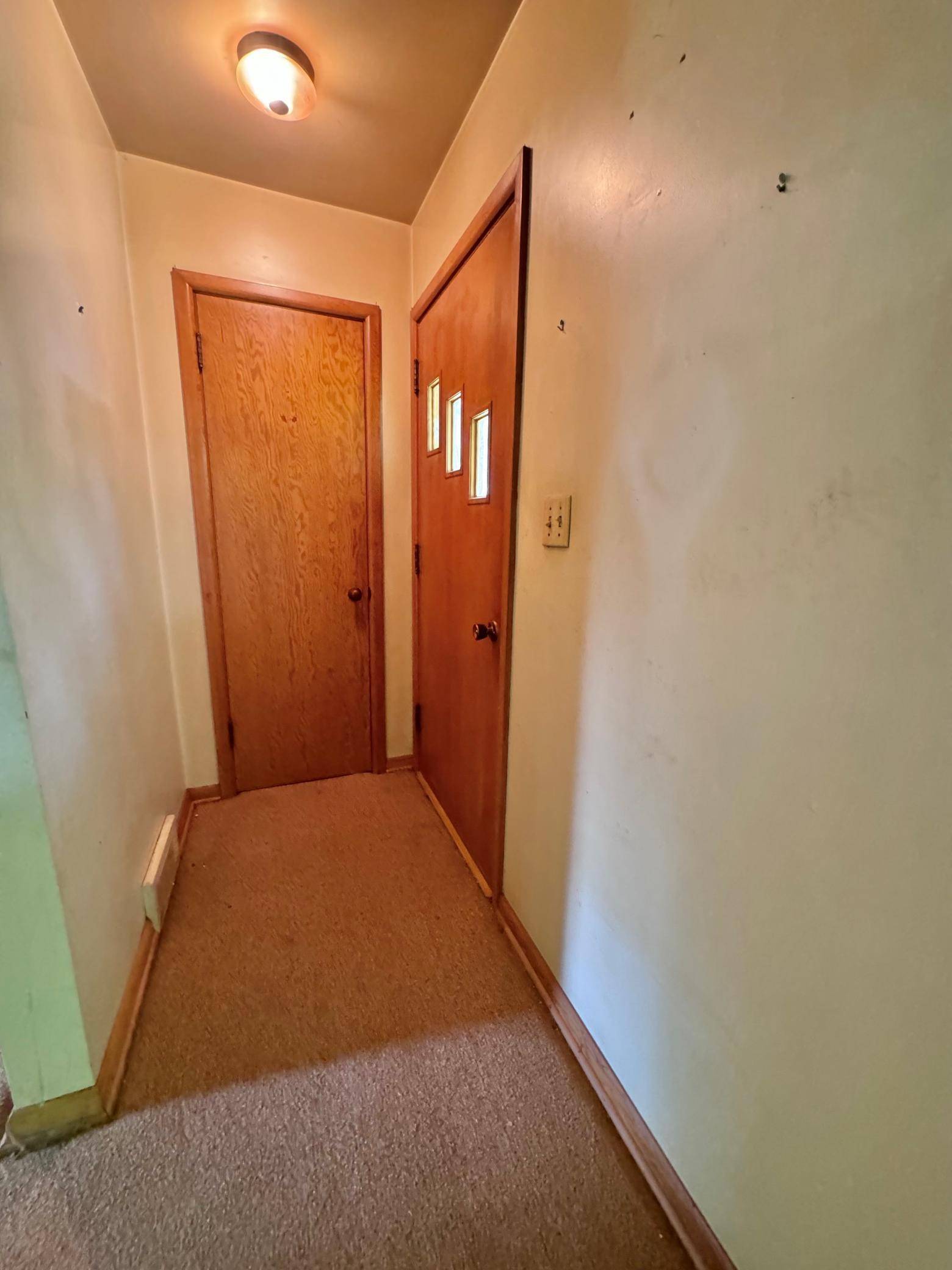 Balaton, MN 56115,220 Maple ST N