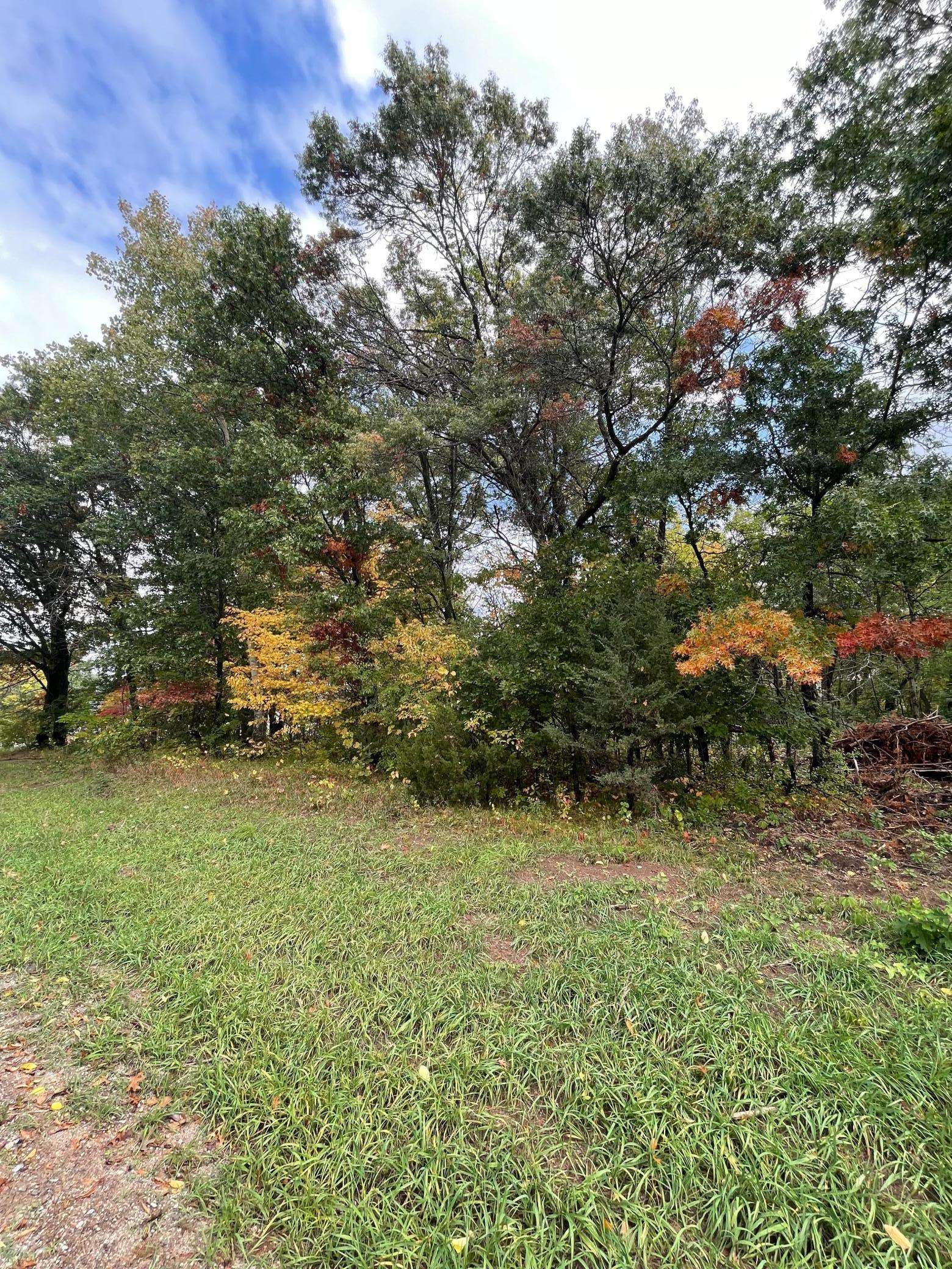 Stacy, MN 55079,xxxx4 Elmcrest AVE