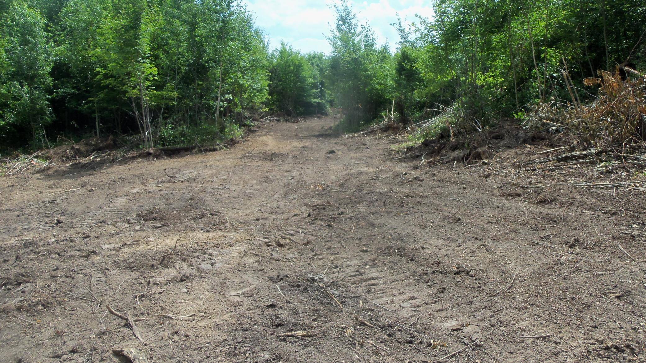 Rusk Twp, WI 54801,Lot 5 Beaver Dam Rd