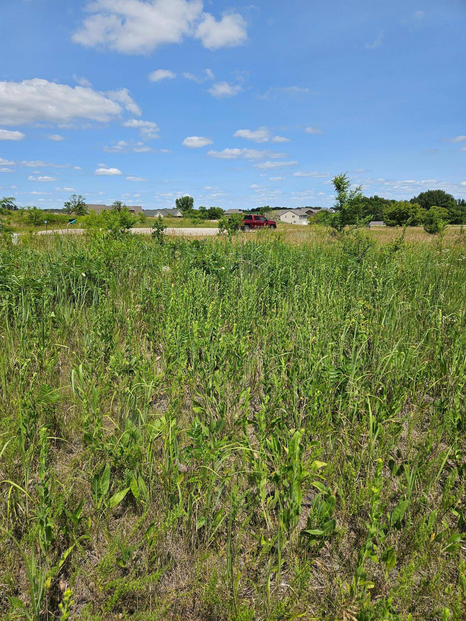 Alexandria, MN 56308,Lot 5 Country Estates CT NW