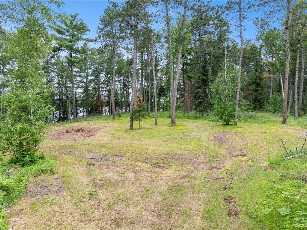 Nevis, MN 56467,XXX Jack Pine LN