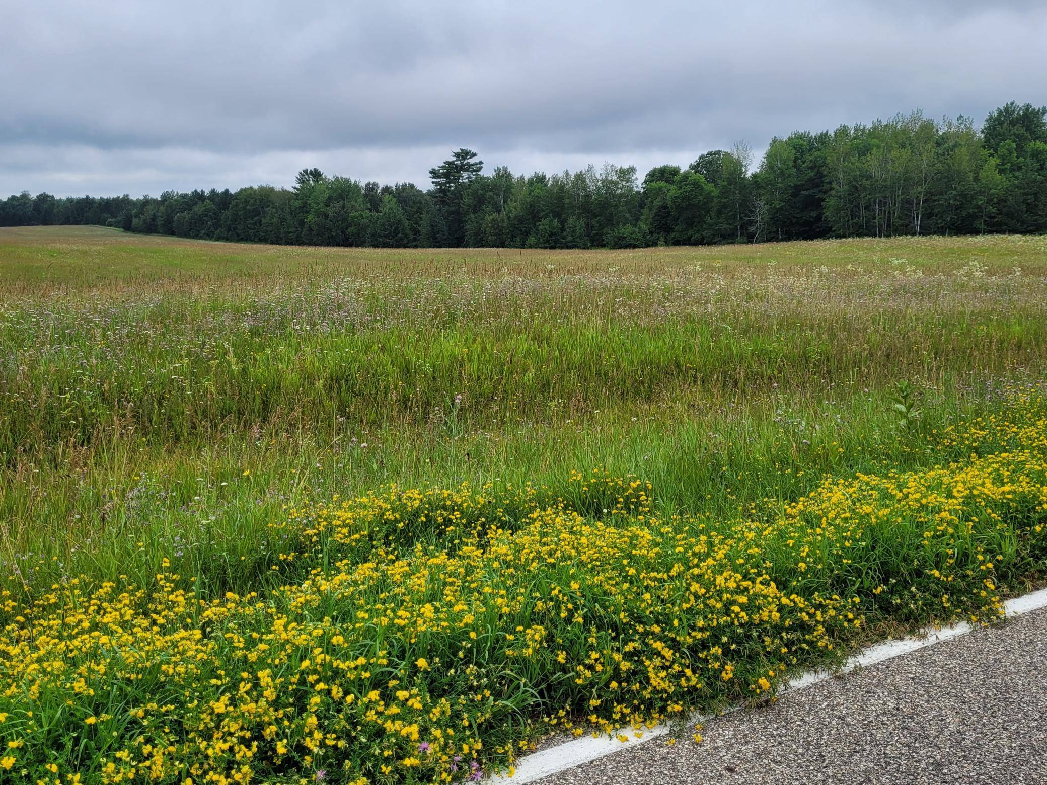 Northern Twp, MN 56601,TBD Bakkum RD NE