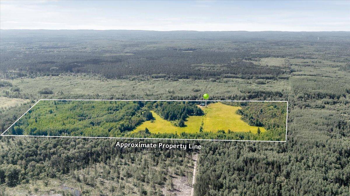 Angora, MN 55703,11185 Jack Pine LN