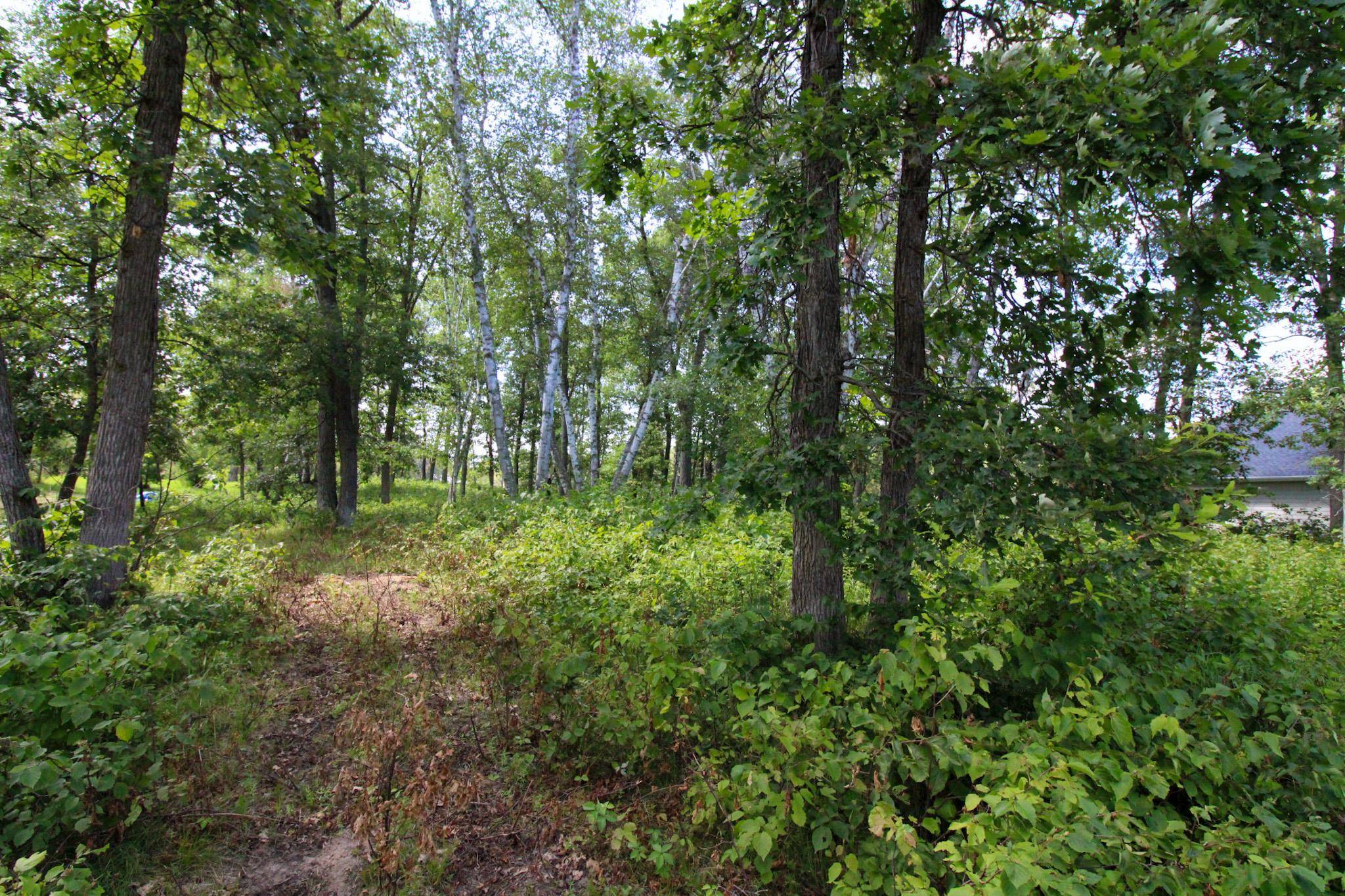 Crosslake, MN 56442,TBD Talon TRL