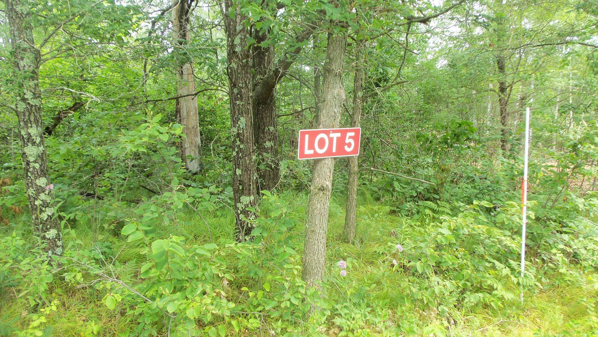 Chicog Twp, WI 54888,LOT 5 DEERFIELD RD