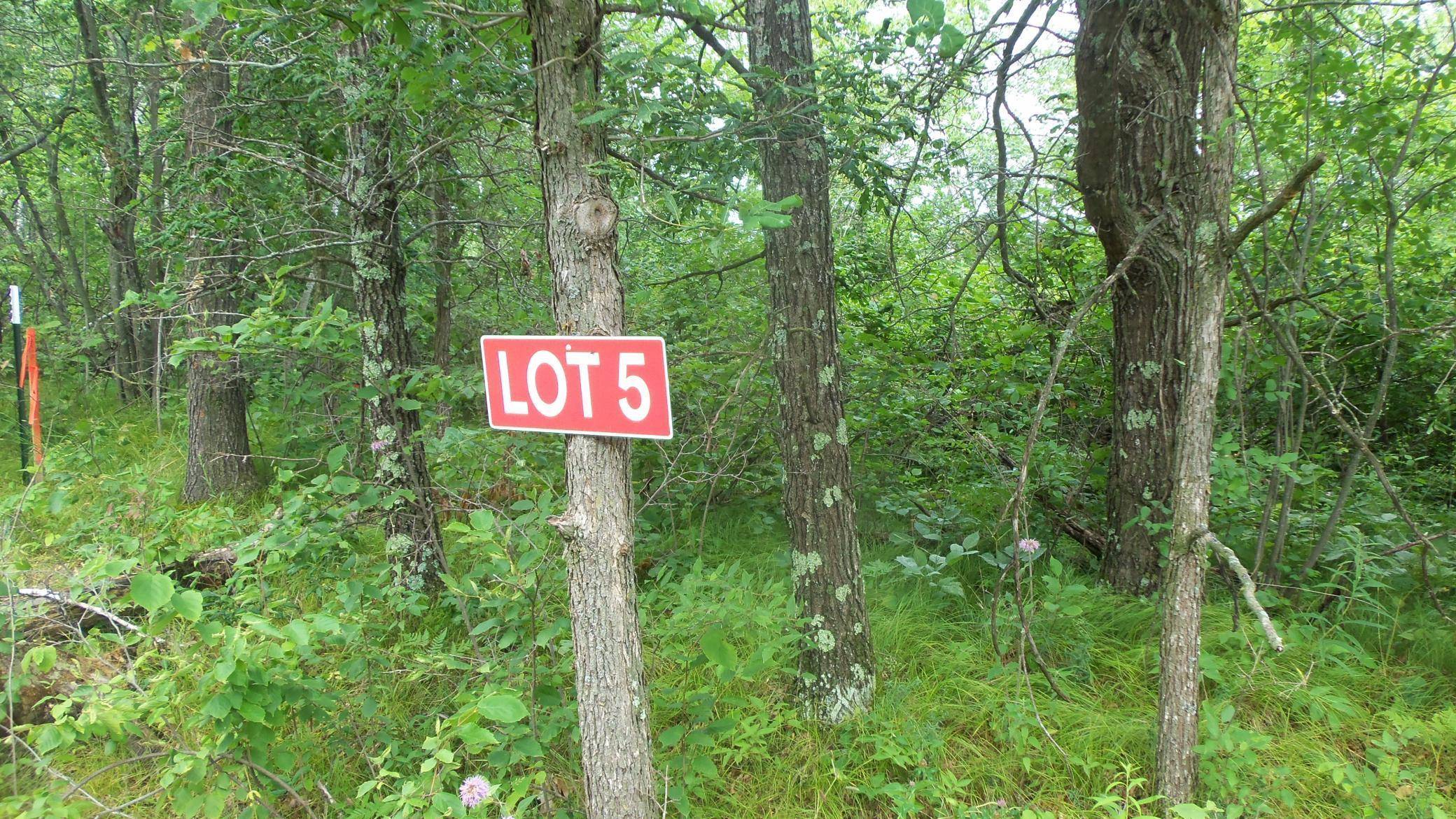 Chicog Twp, WI 54888,LOT 5 DEERFIELD RD