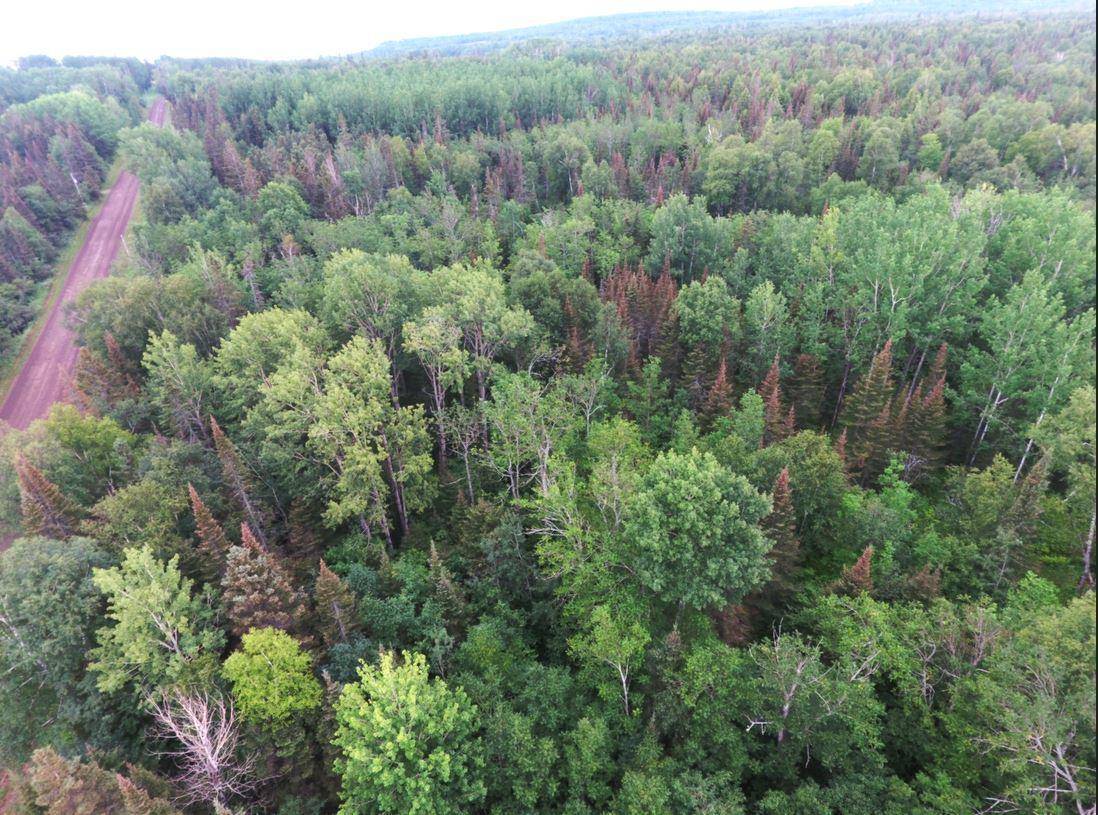 Grand Marais, MN 55604,XXXX County Road 14