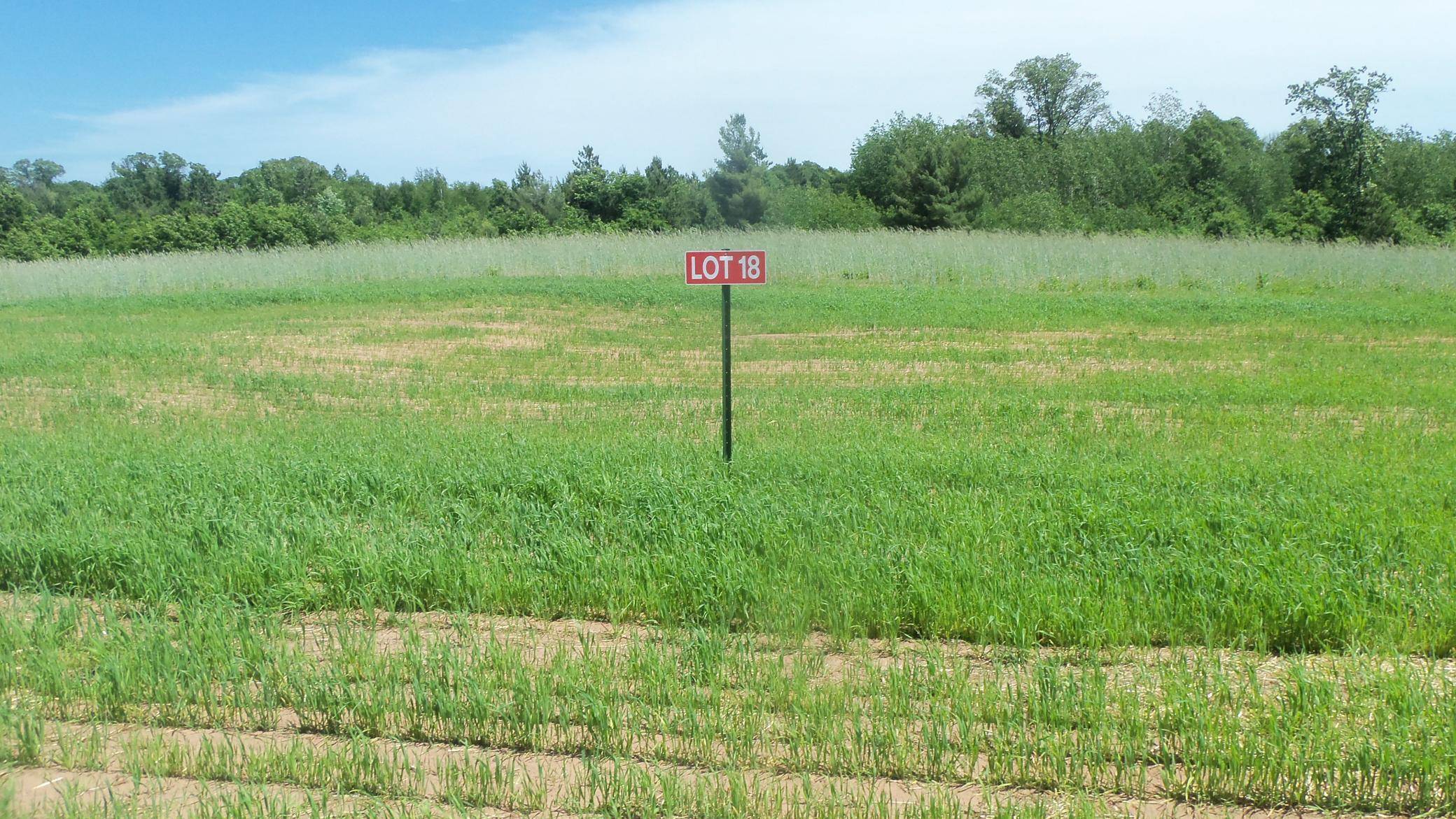 Meenon Twp, WI 54872,LOT 18 MAPLE LN
