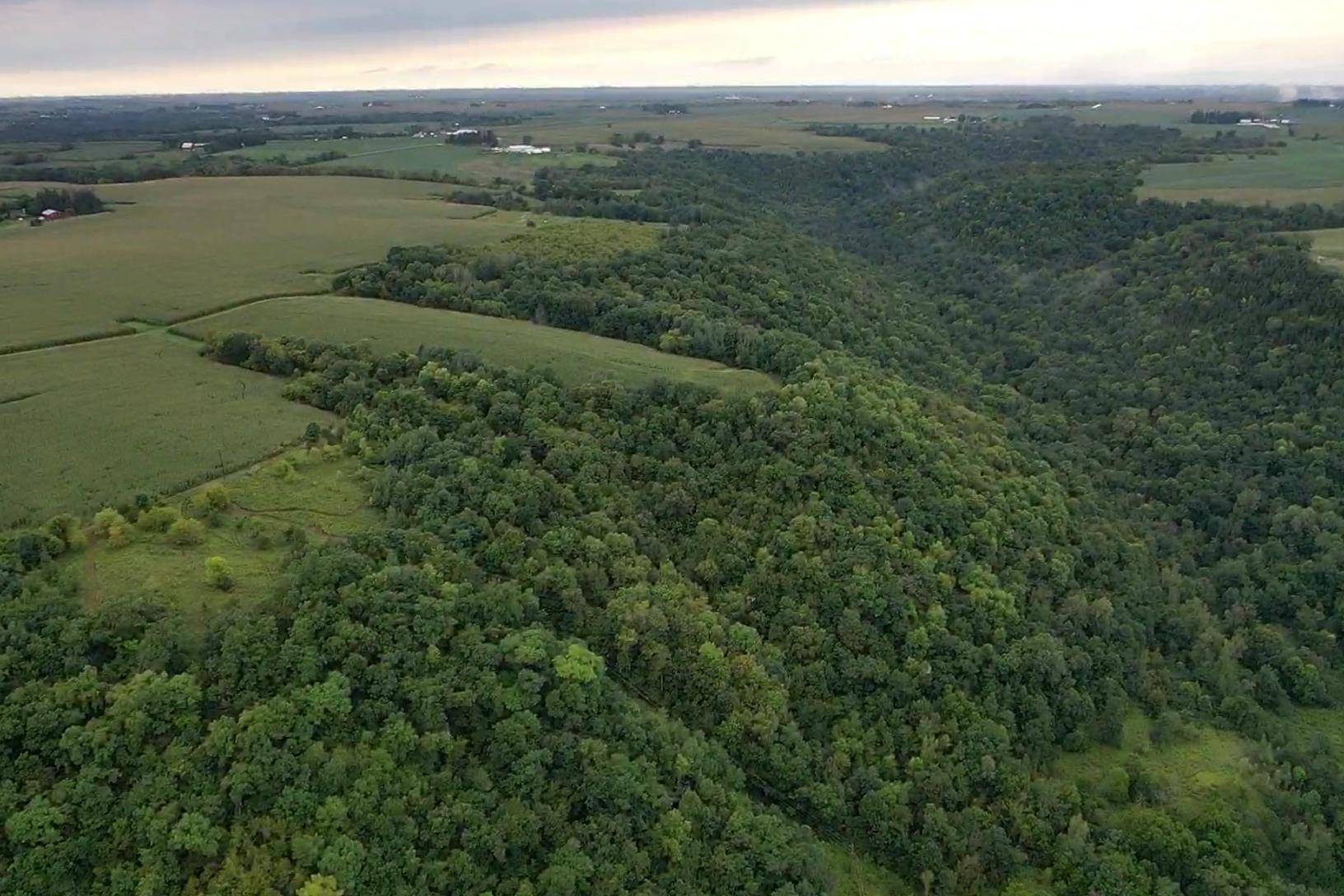 Arendahl Twp, MN 55962,38352 Dairy Lane