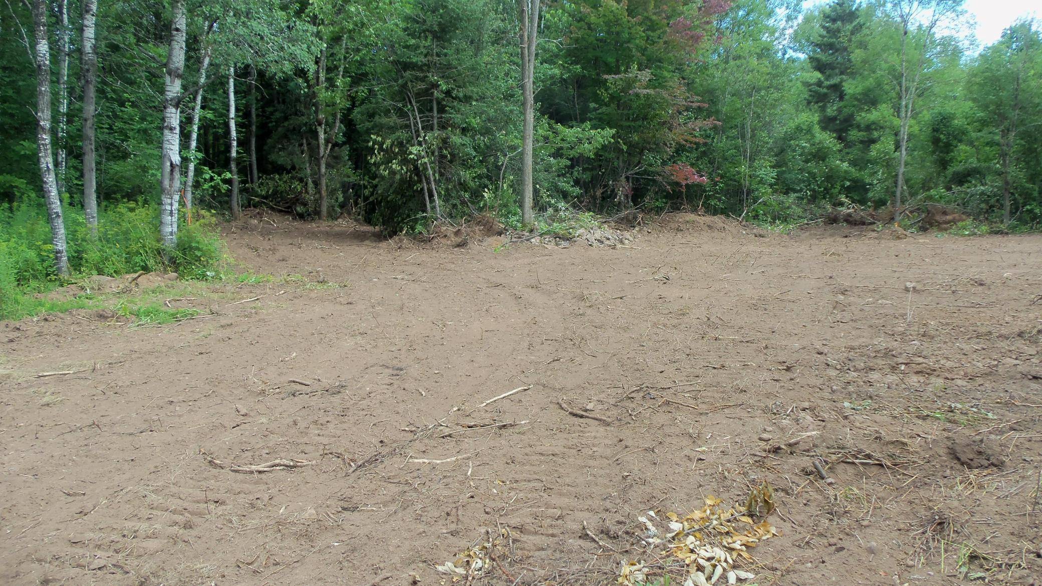 Ashland Twp, WI 54546,90 Acres Kornstead Rd