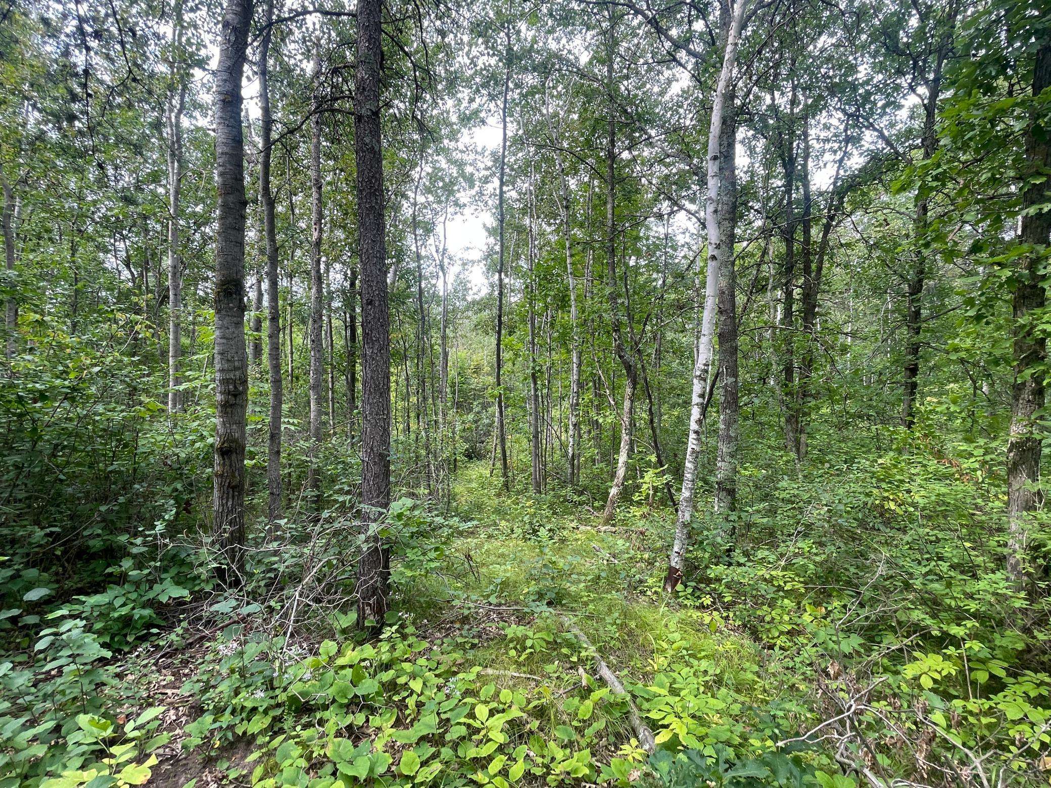 Pequot Lakes, MN 56472,Lot 2 Patriot Ave