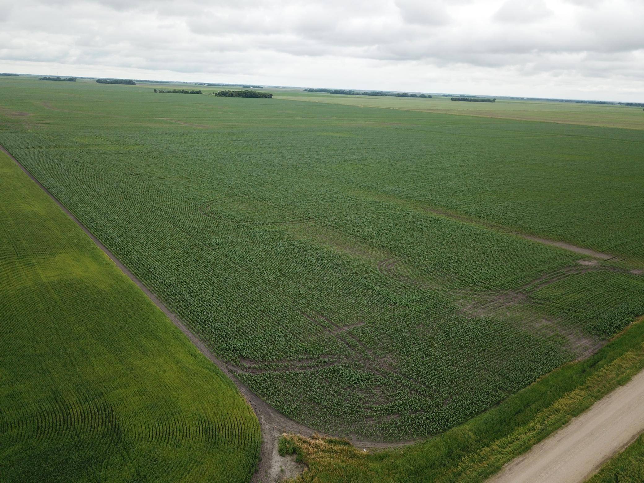 Wahpeton, ND 58075,TBD 83rd ST SE