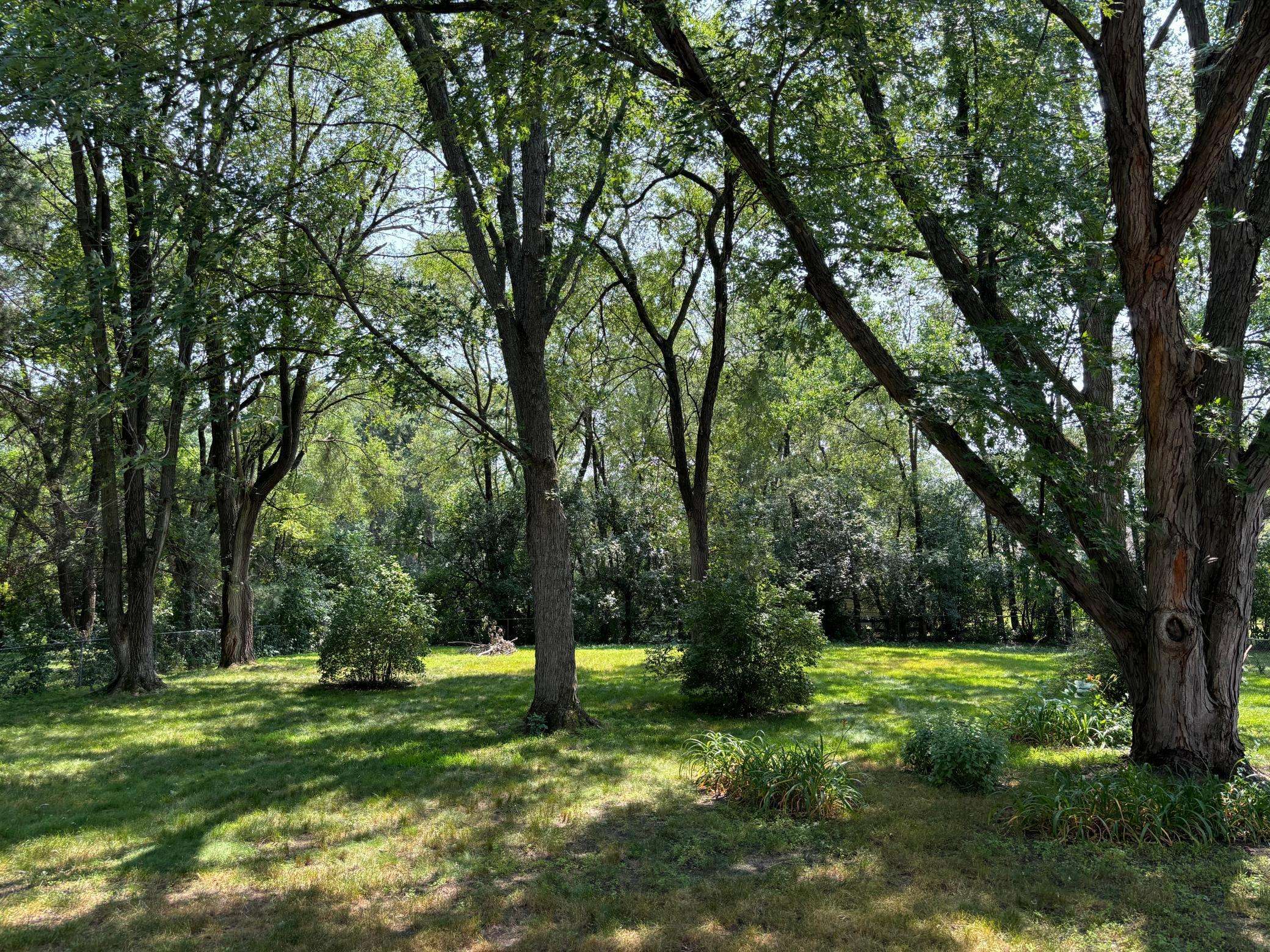 Coon Rapids, MN 55433,10882 Thrush ST NW