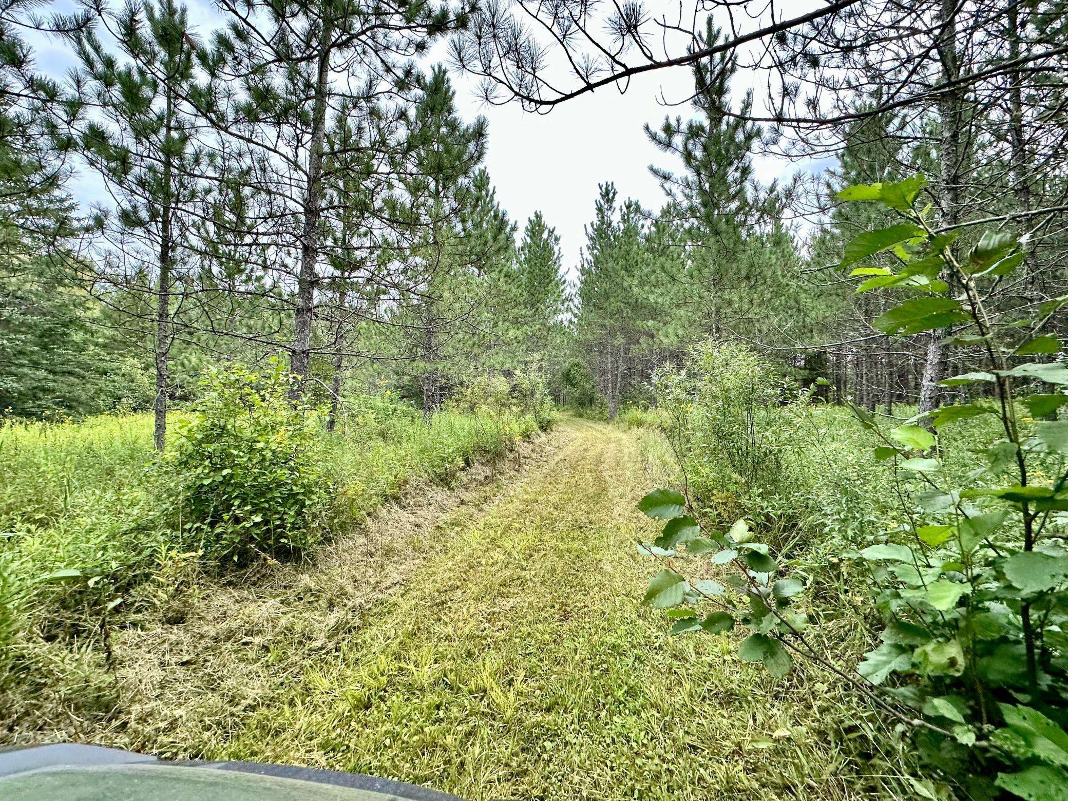 Pomroy Twp, MN 56688,65004 County Road 195