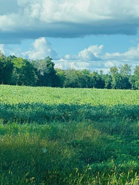Rushseba Twp, MN 55069,8XXX Rushseba TRL