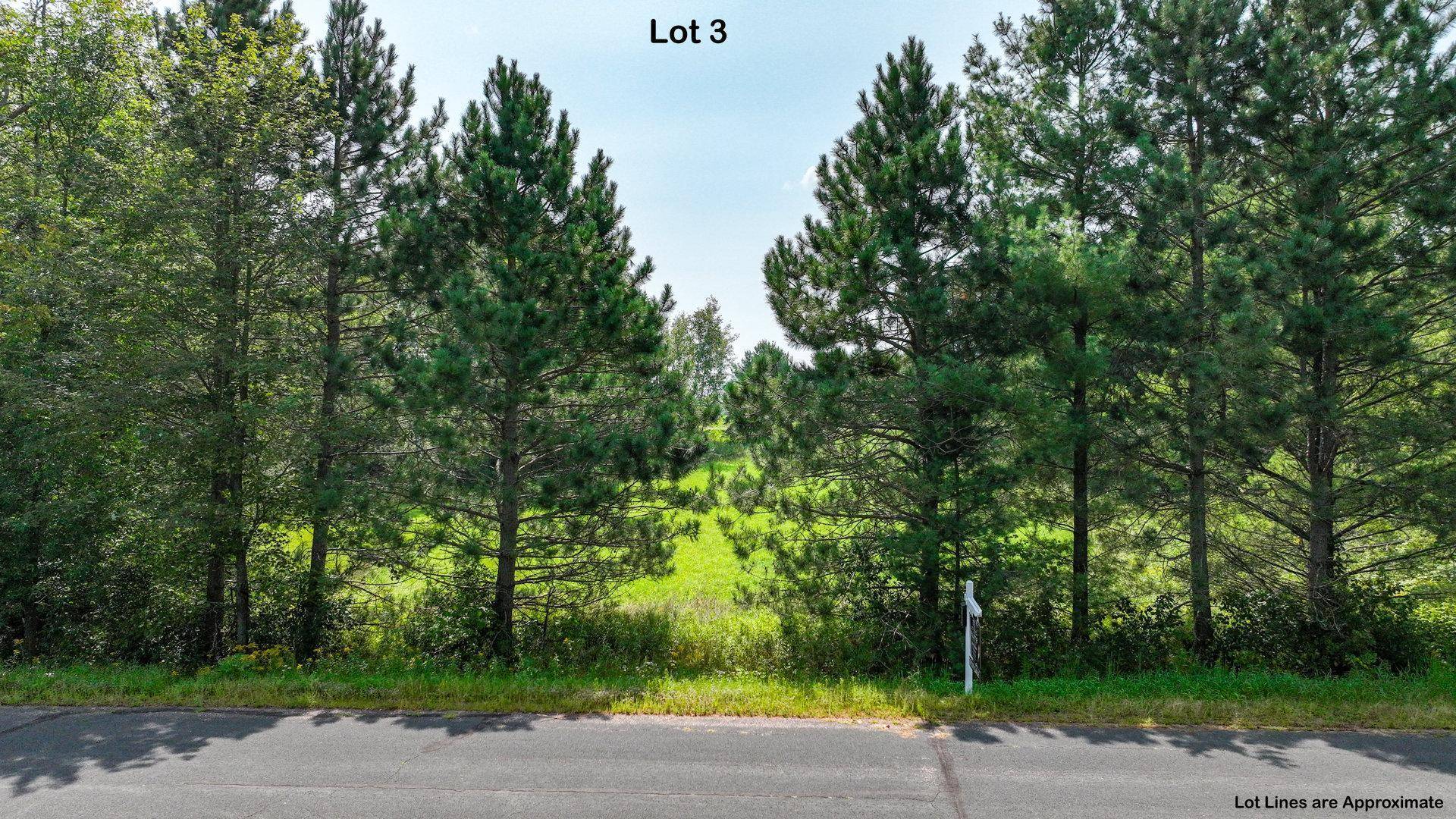 Cedar Lake Twp, WI 54817,Lot 3 & 4 28 1/16 AVE