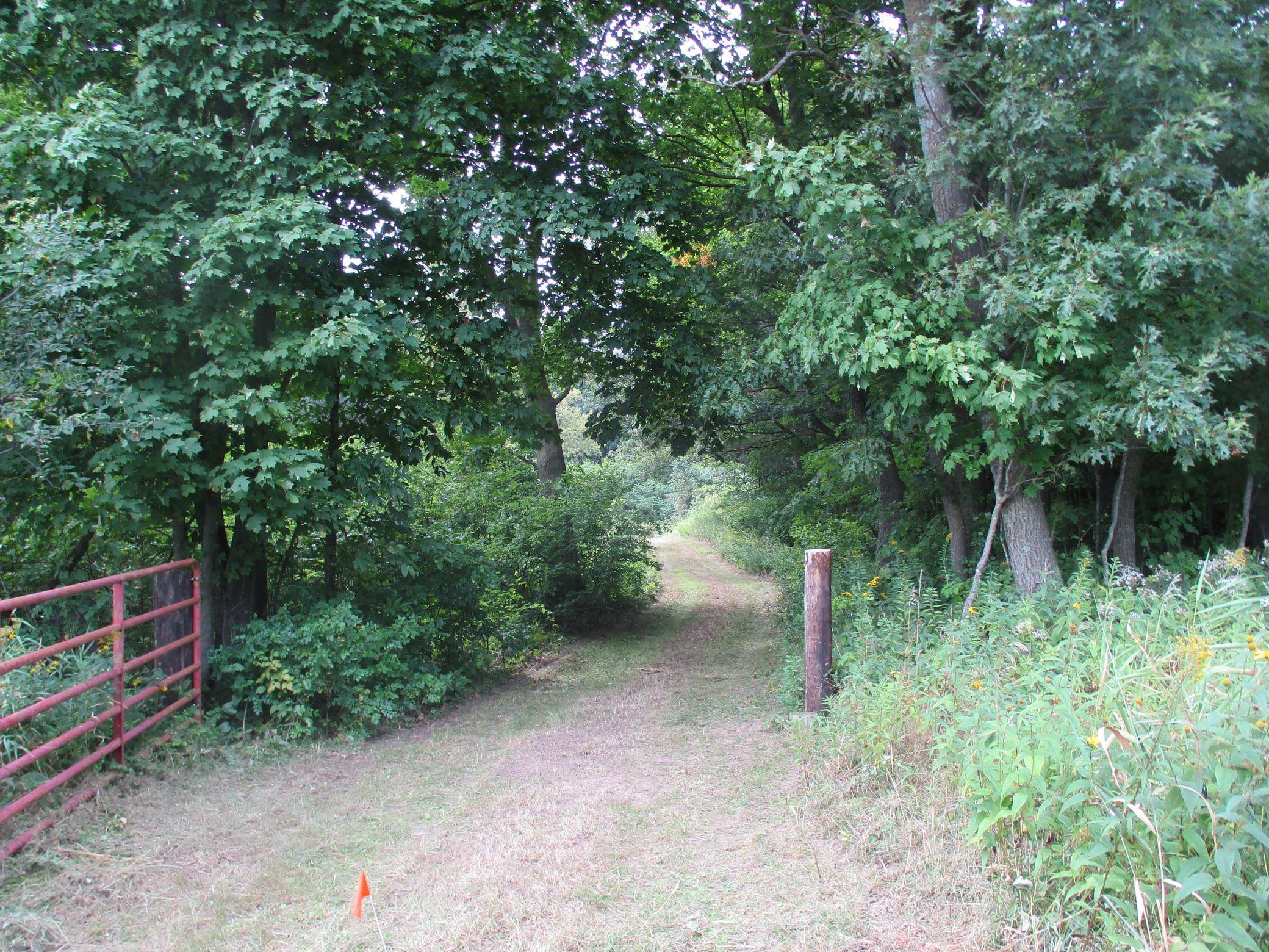 Eureka Twp, WI 54824,XXX 190th Street