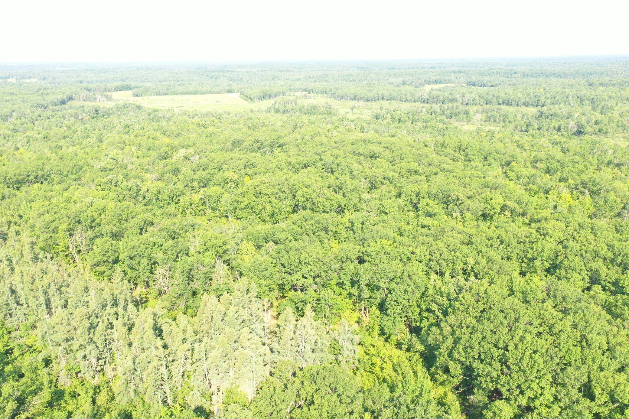 Arna Twp, MN 55072,NA Condor Rd