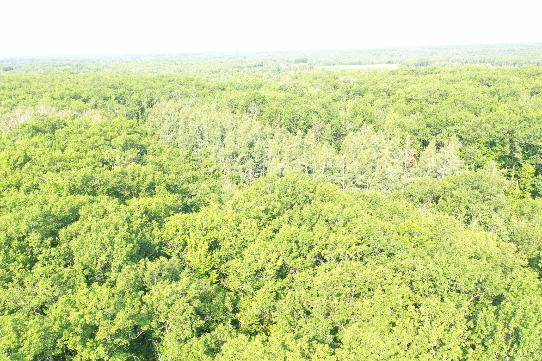 Arna Twp, MN 55072,NA Condor Rd