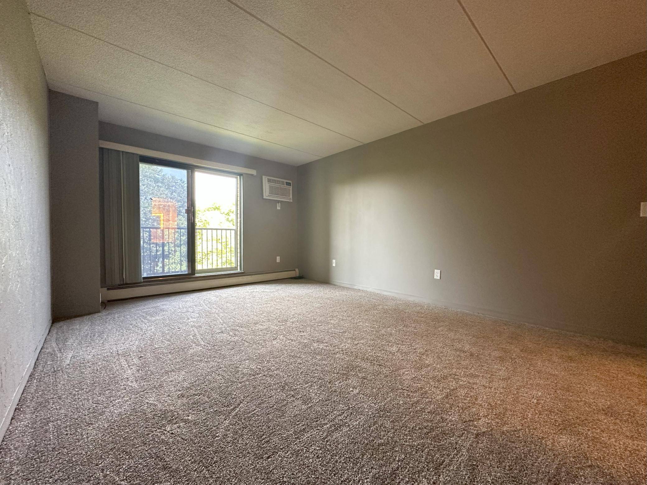 Minnetonka, MN 55305,10501 Cedar Lake RD #418