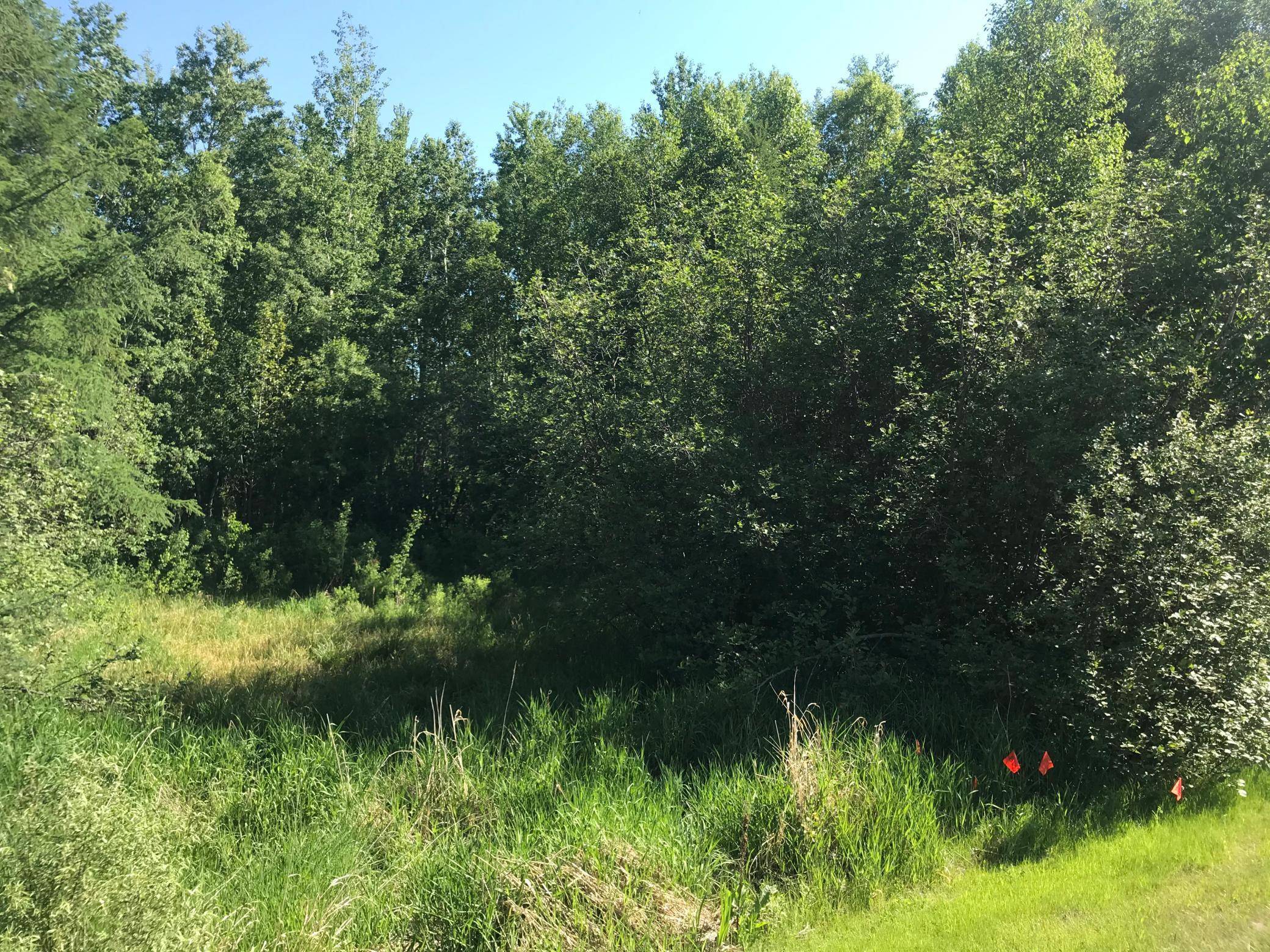 Bemidji, MN 56601,TBD Rodeo DR NW