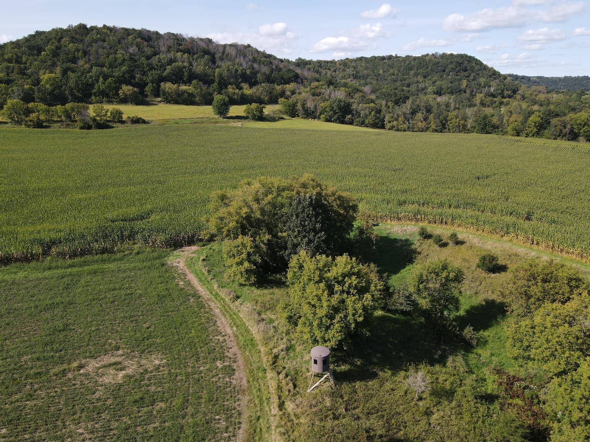 Pepin Twp, WI 54759,TBD Bogus RD