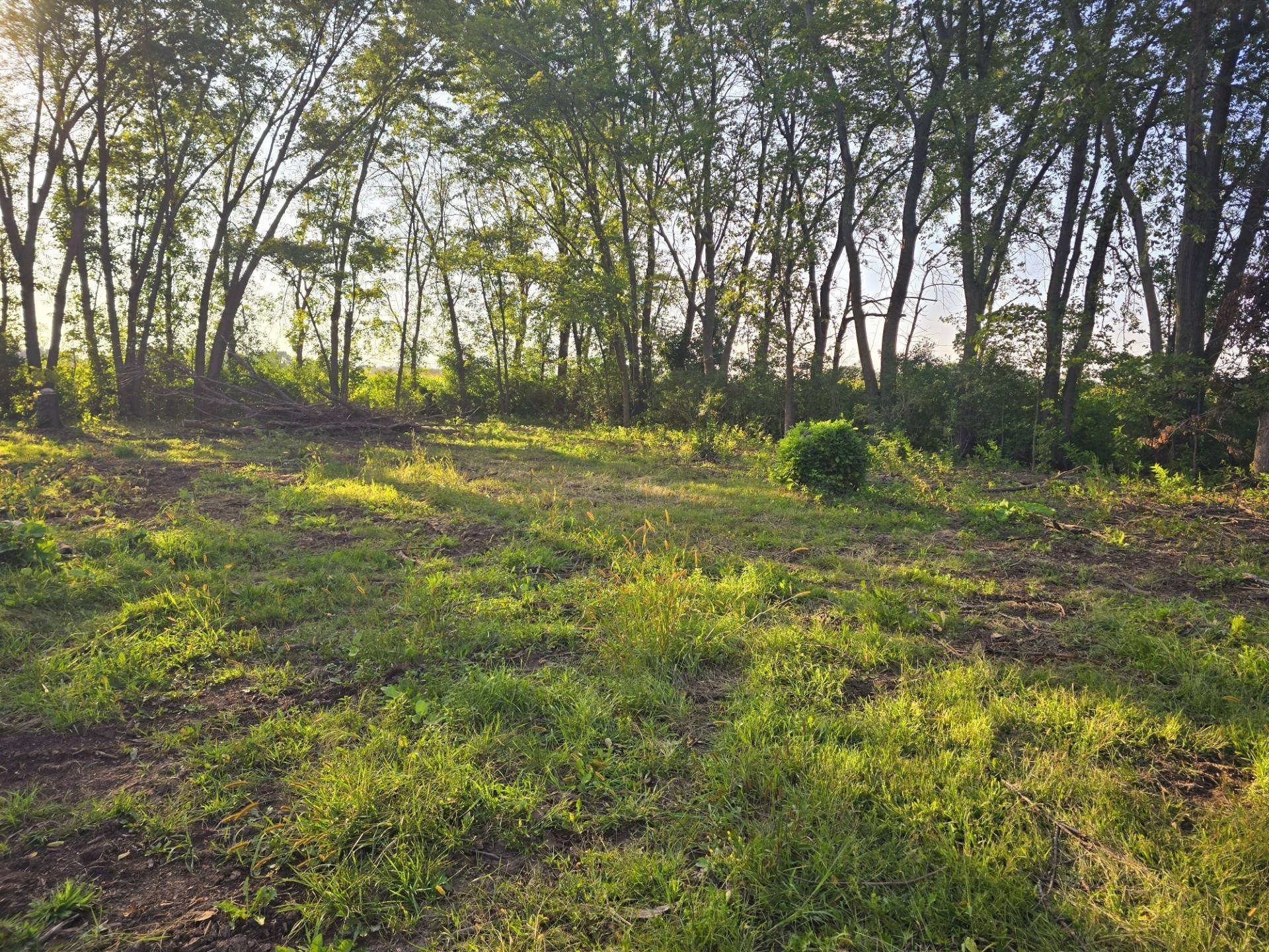 Lansing Twp, MN 55912,23601 555th AVE