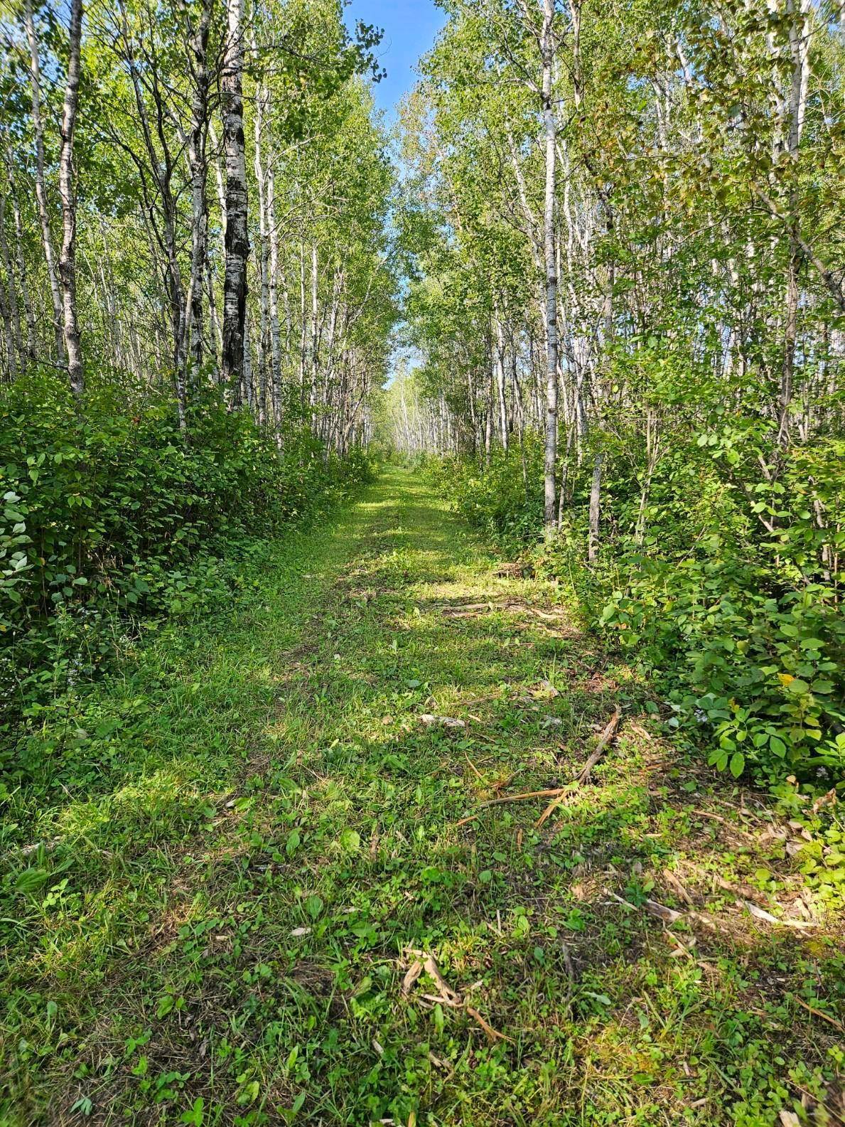 Rulien Twp, MN 56623,TBD 35th SW