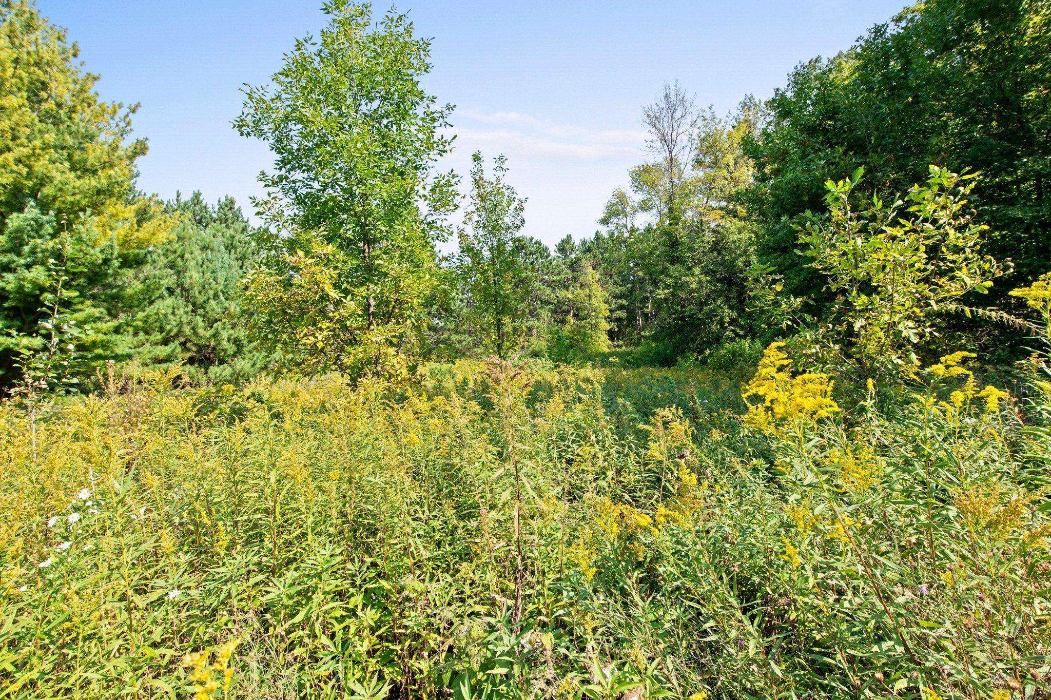 Saint Croix Falls, WI 54024,XXX Lot 4 Maple DR