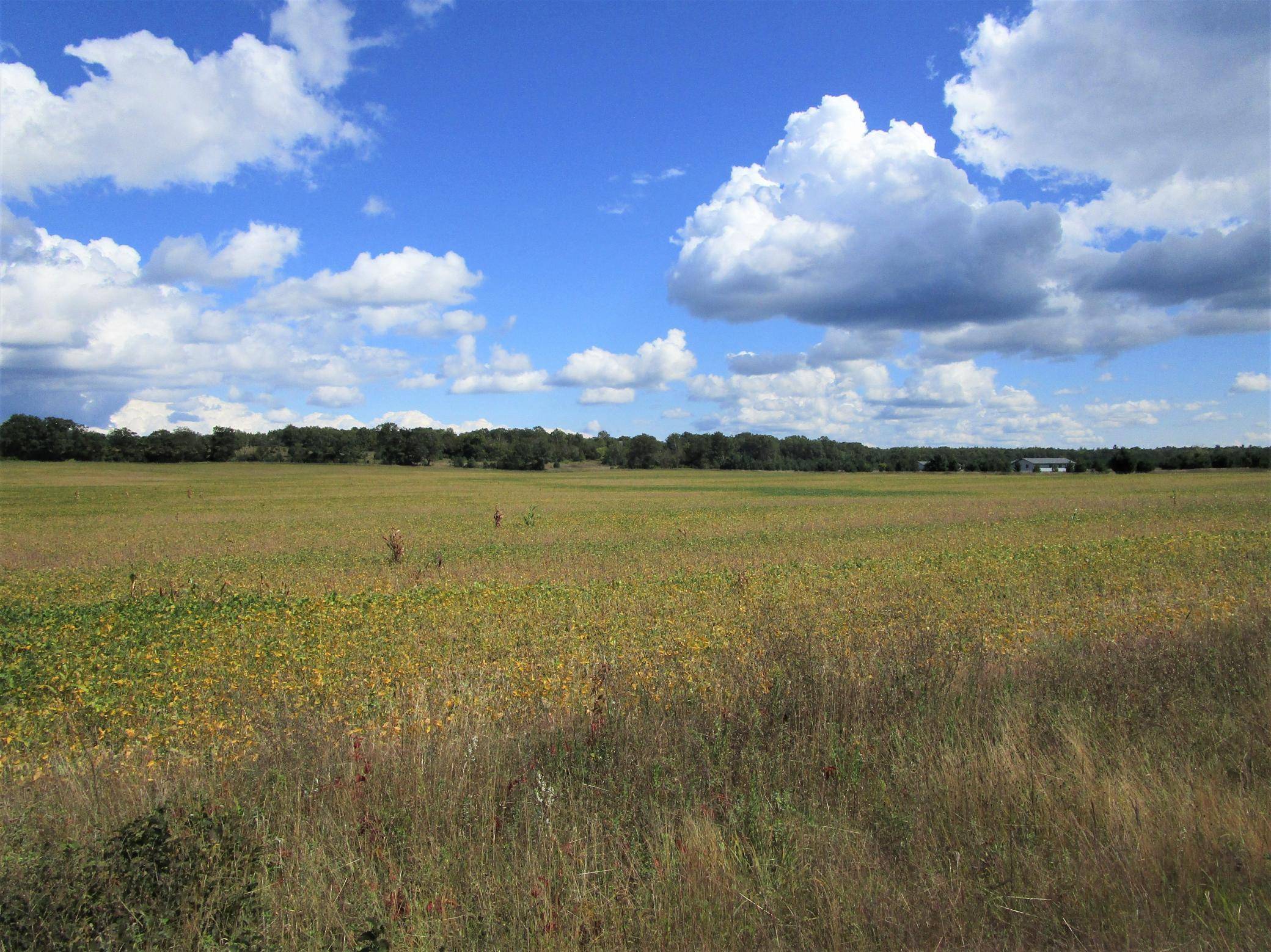 Frederic, WI 54837,Parcel 2 110th ST