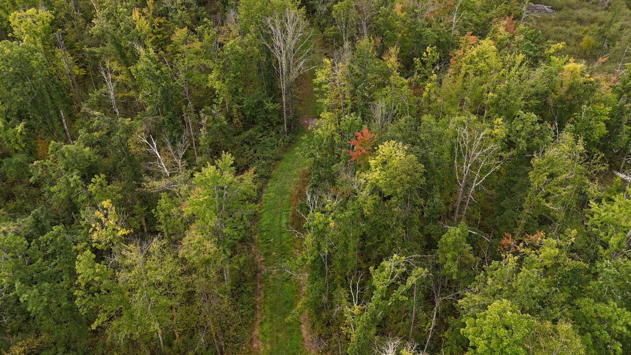 Sandstone, MN 55072,TBD Bent Trout Road