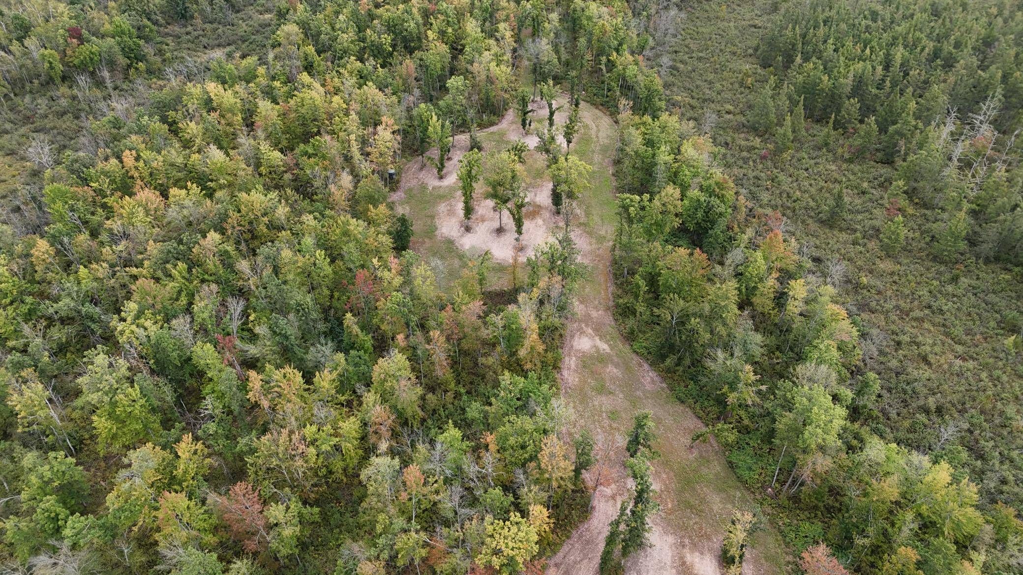 Sandstone, MN 55072,TBD Bent Trout Road