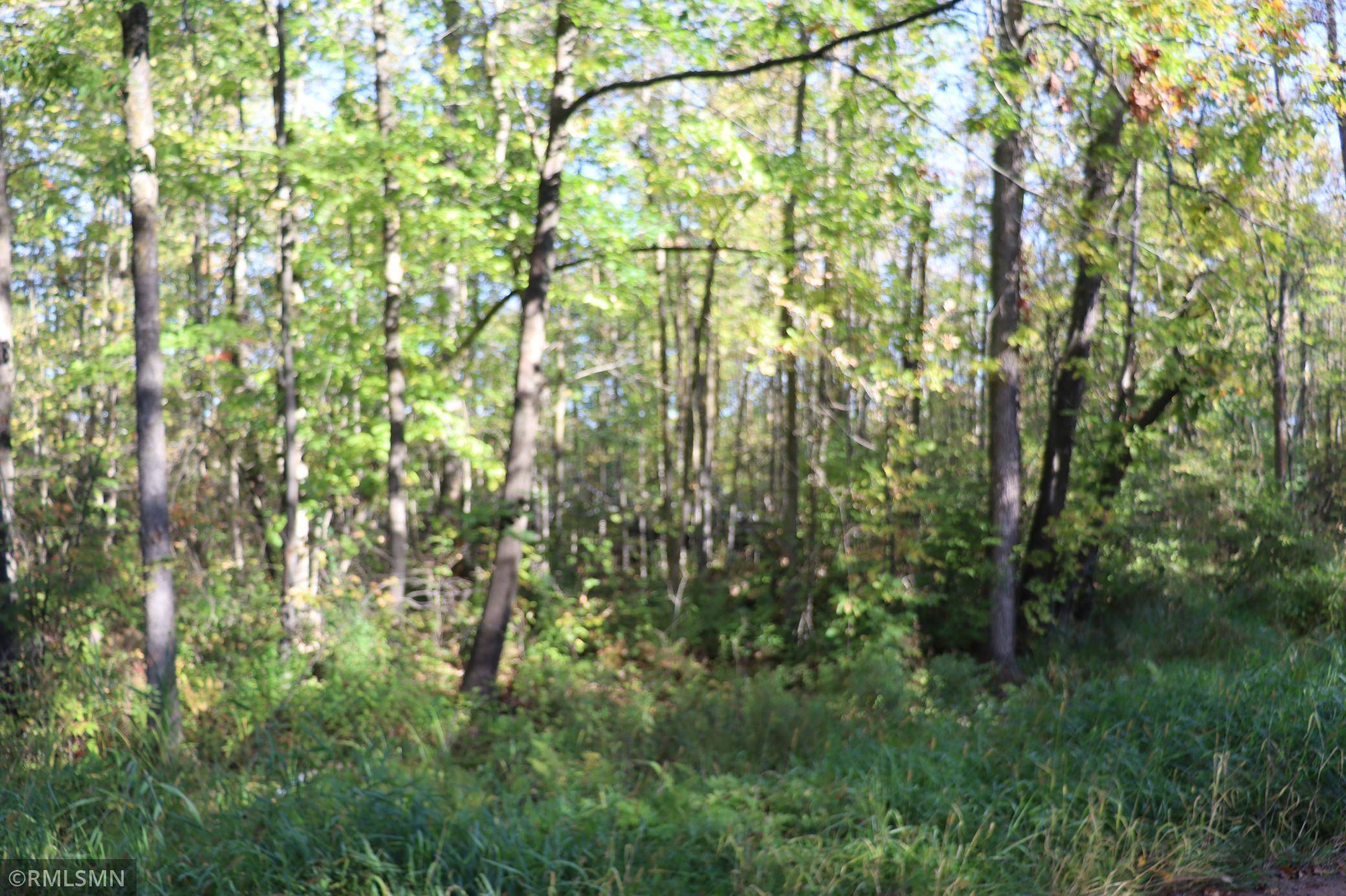 Finlayson Twp, MN 55735,TBD Wooded CIR