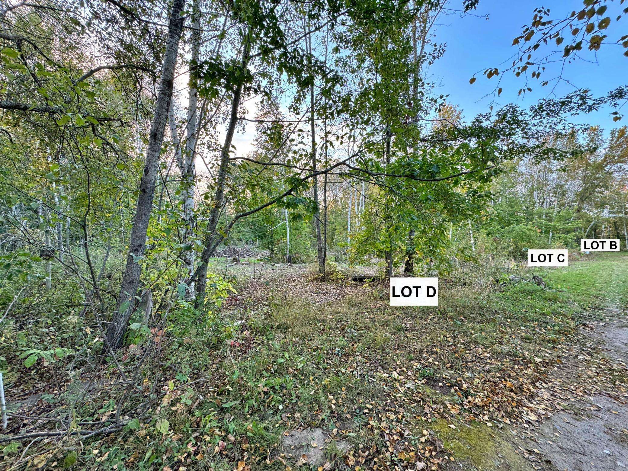 Garrison, MN 56450,XXX LOT B ASH CT