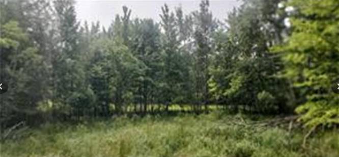 Clayton, WI 54004,xxx Lot 4 County Road D