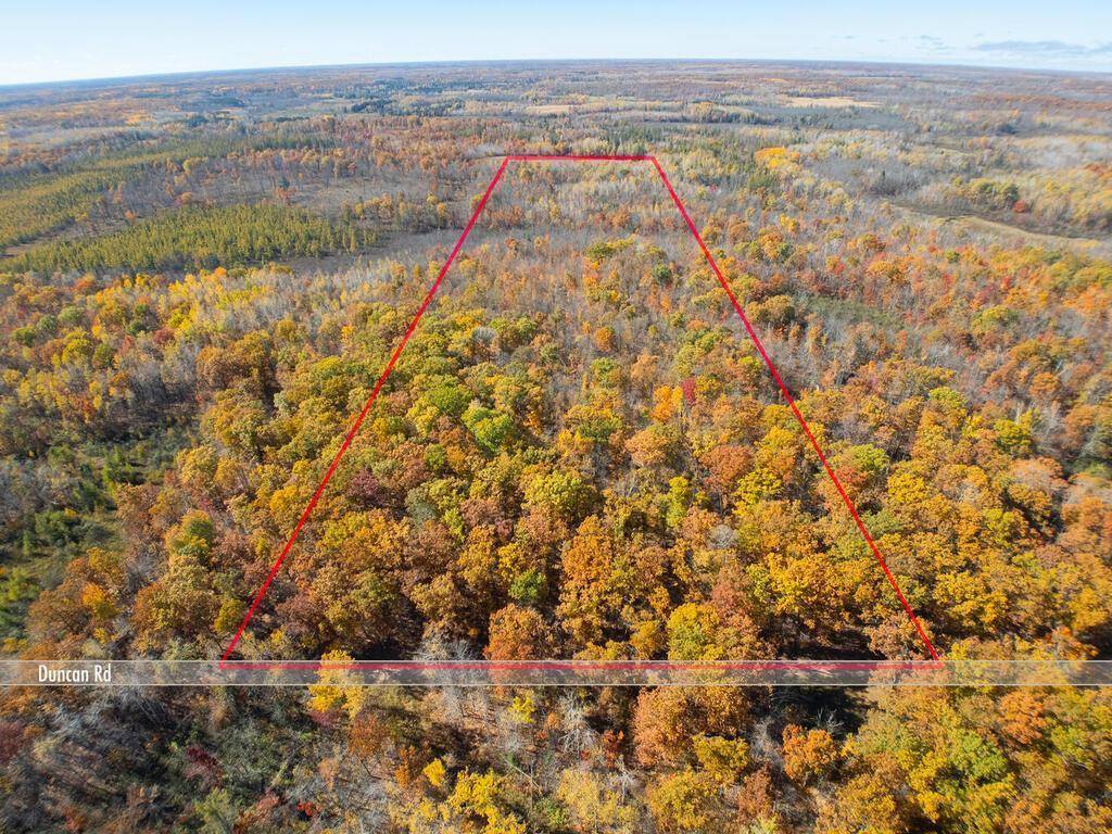 Wilma Twp, MN 55072,56177 Duncan RD