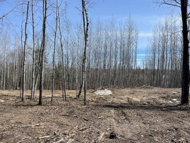 Lake George, MN 56458,TBD Lot 4 New Manz DR