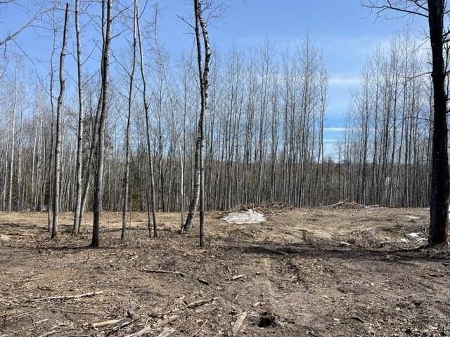Lake George, MN 56458,TBD Lot 5 New Manz DR
