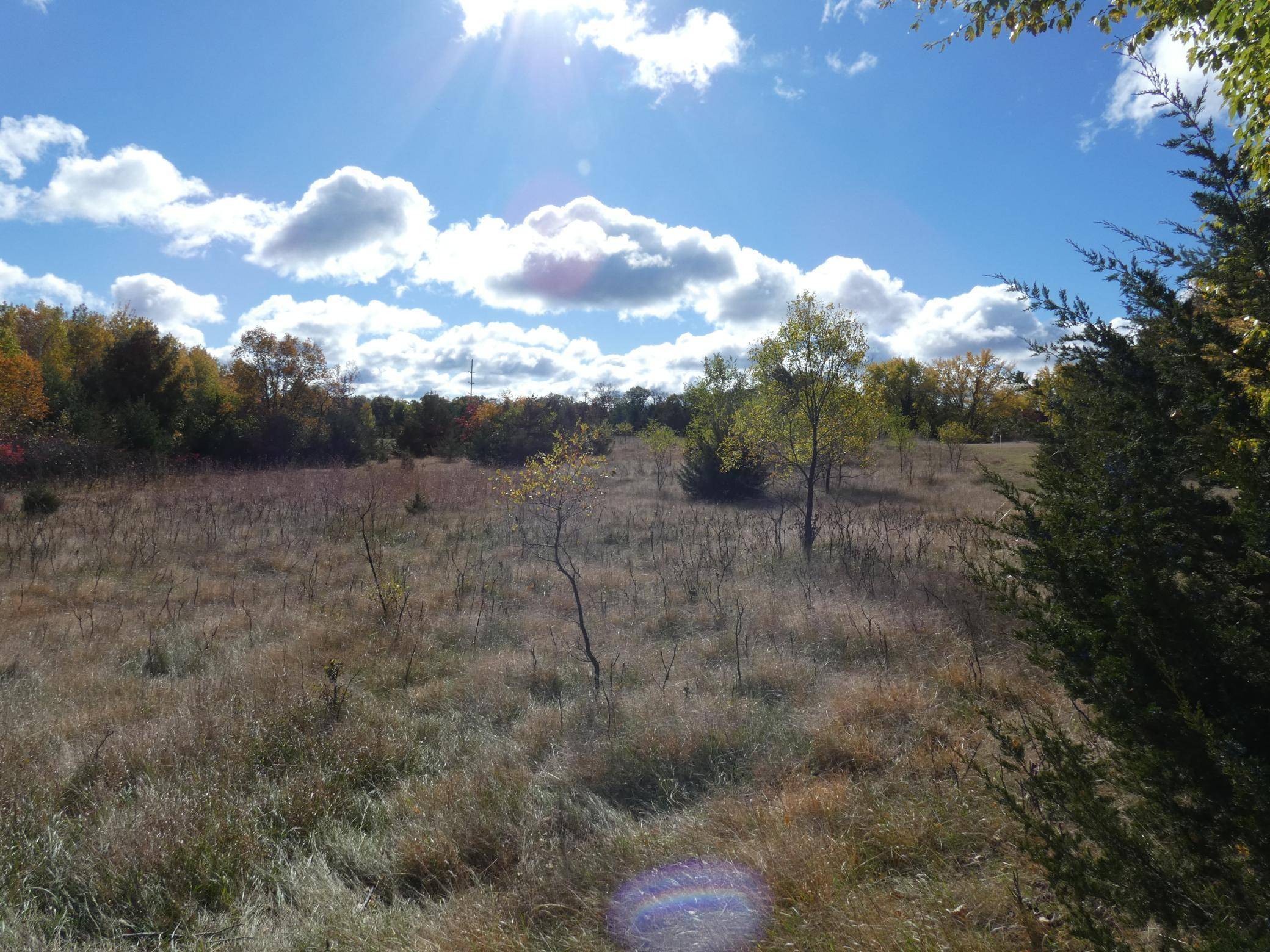 Athens Twp, MN 55040,xxx Owatonna ST NE