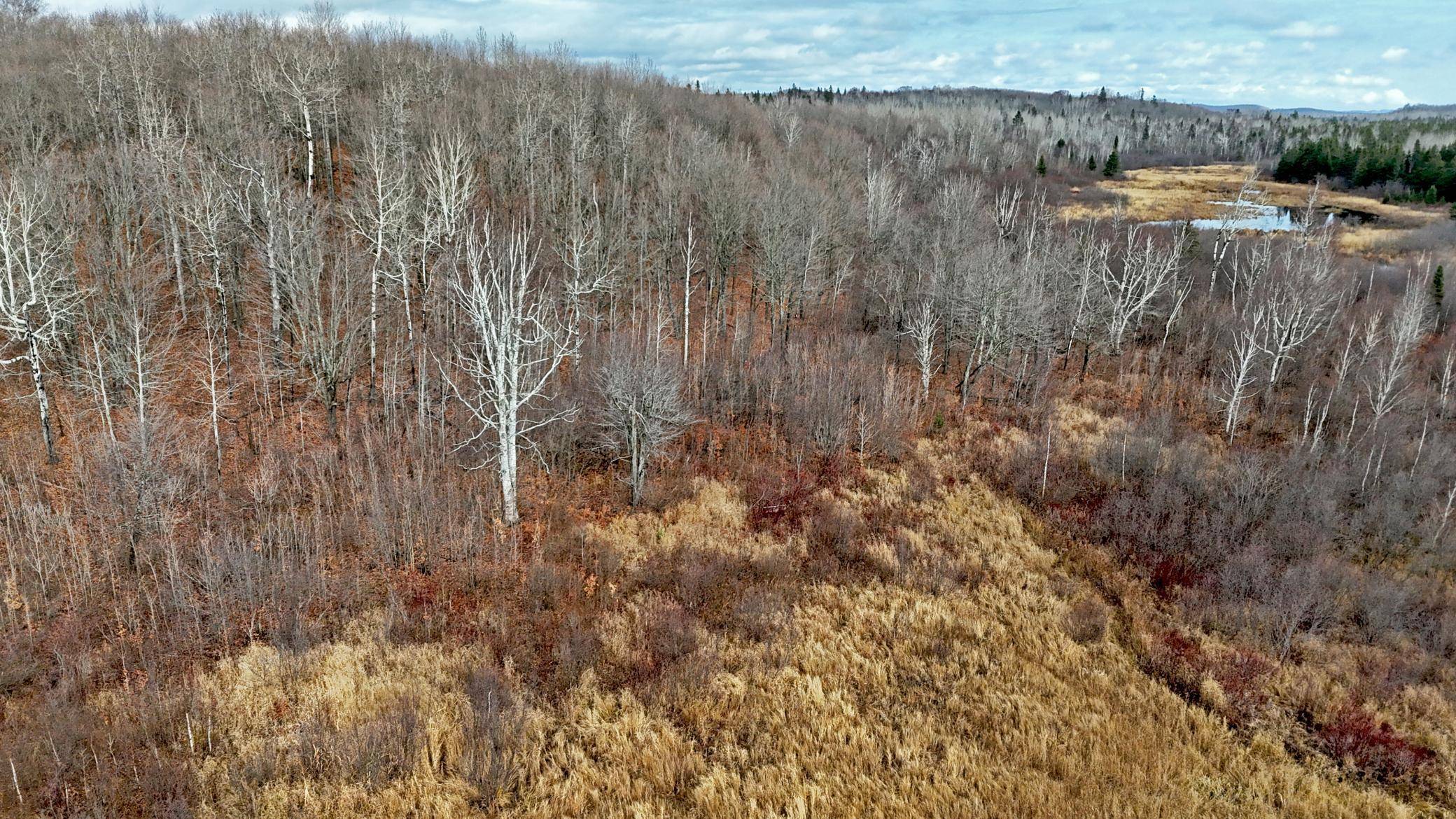 Schroeder Twp, MN 55613,TBD Zekes Road