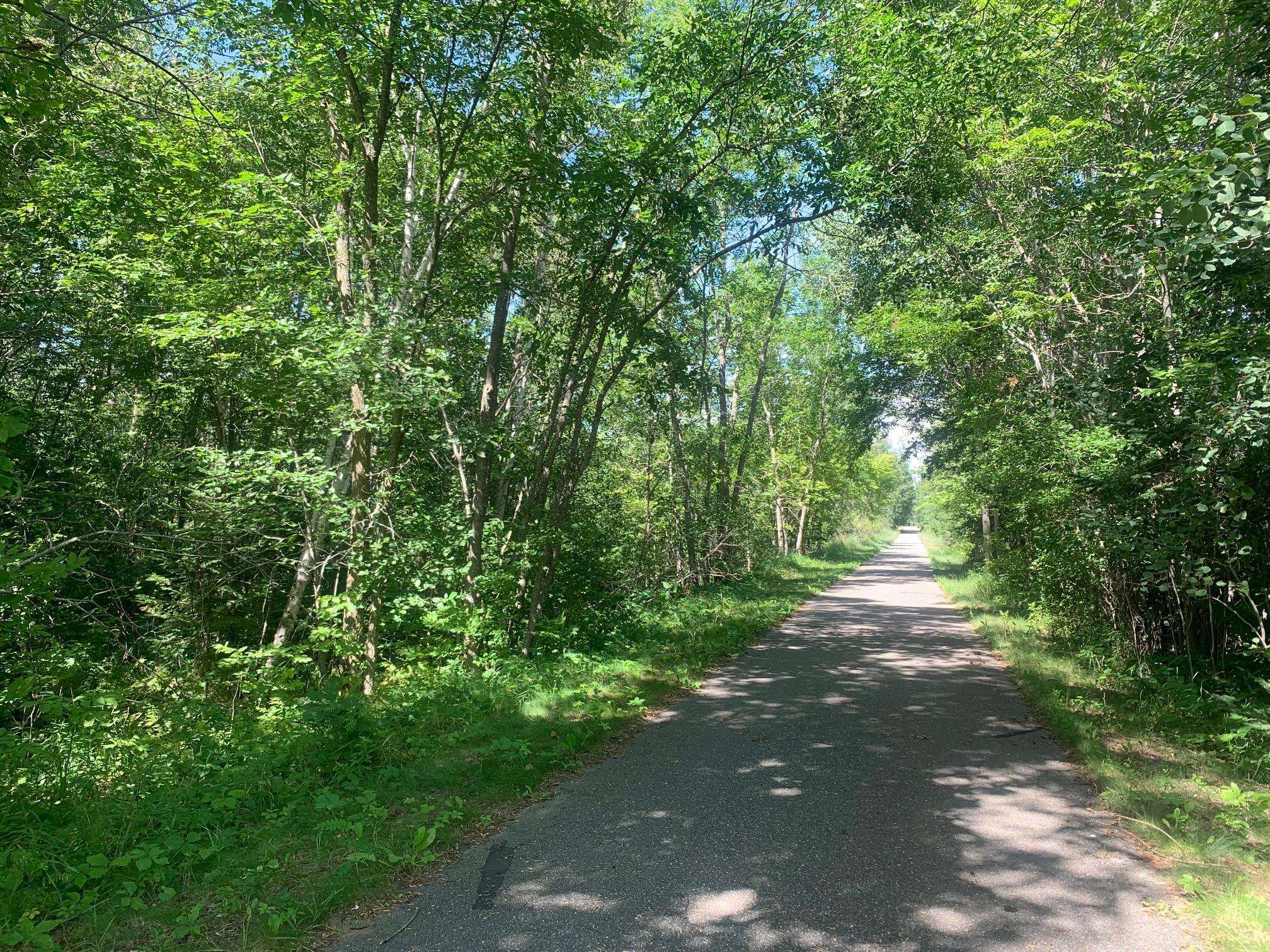 Walker, MN 56484,TBD County Road 38